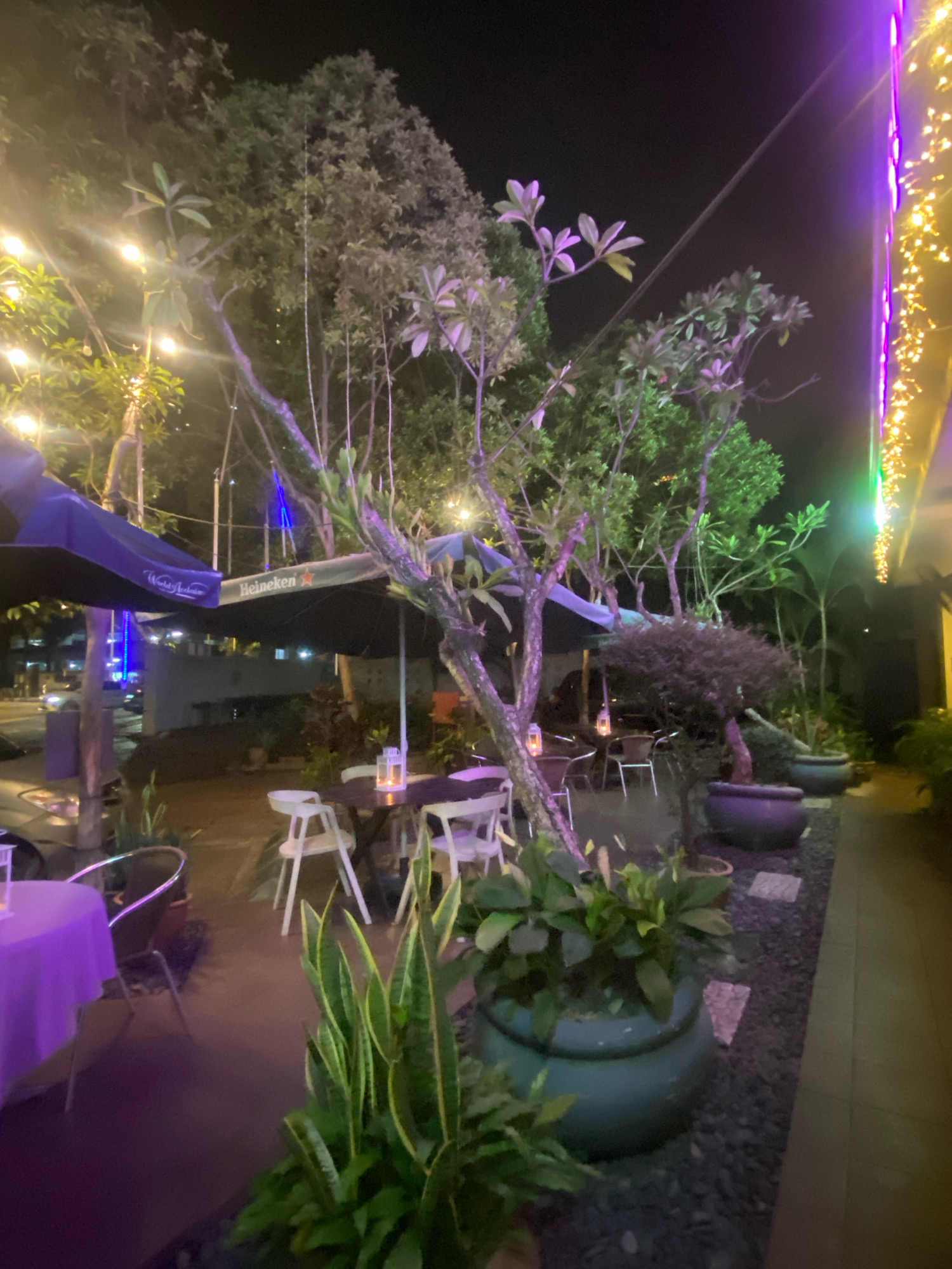 This image depicts an outdoor seating area at night, likely a restaurant or cafe, located in Kuala Lumpur, Malaysia. The scene is illuminated by string lights and purple ambient lighting. Several trees with lush foliage are visible, some with artistic pruning. There are multiple tables and chairs set up for dining, with some tables covered in purple and white tablecloths. Umbrellas, one branded "Heineken", provide shade. Potted plants, including a snake plant and other leafy varieties, are strategically placed around the area. In the background, buildings and streetlights suggest an urban setting. The overall atmosphere is that of a relaxed evening dining experience.
