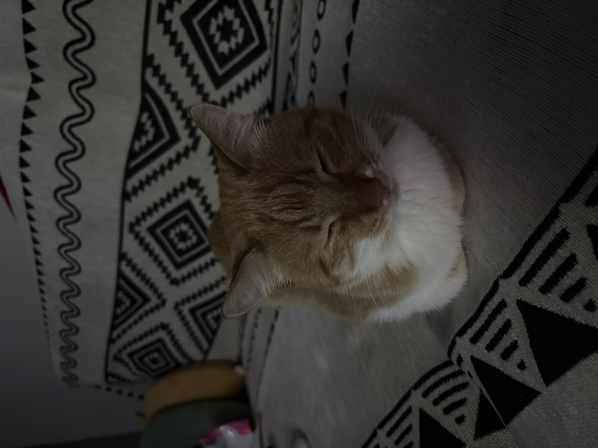An orange and white tabby cat is depicted resting or sleeping in an indoor setting in Zheleznogorsk, Russia. The cat, primarily orange with white markings on its chest and face, has its eyes closed, conveying a sense of peace and relaxation. It is nestled against or on a piece of fabric, likely a blanket or cushion, which features a striking black and white geometric pattern. This pattern includes wavy lines, repeating triangles, and square-shaped motifs. The lighting in the scene is dim, suggesting it might be evening, nighttime, or a low-light environment indoors. A darker, indistinct surface is partially visible in the background on the lower left. No other subjects or visible text are present in the image.