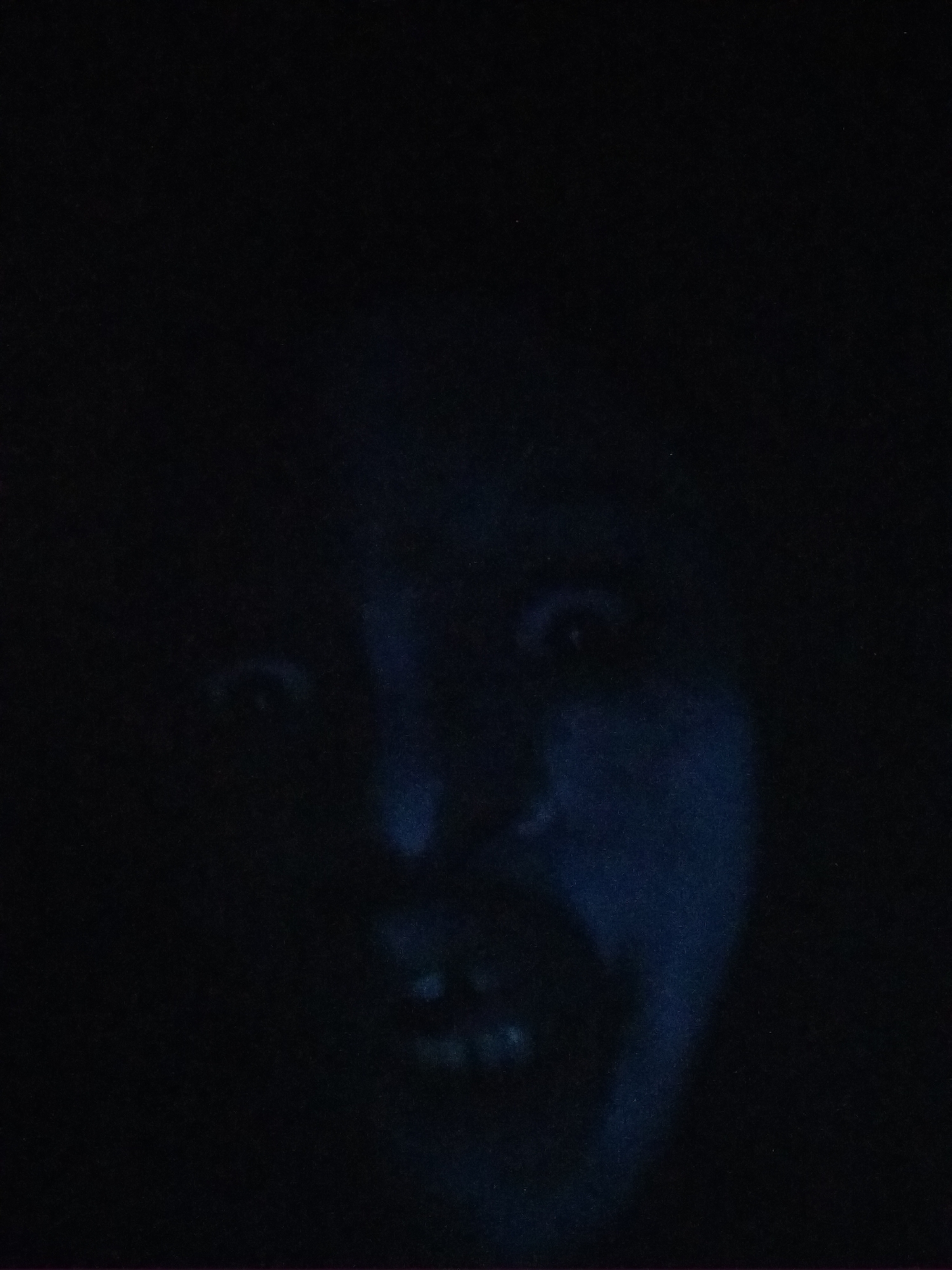 A dark image reveals a face with wide eyes and visible teeth. The features are shadowed and difficult to discern, with a blueish tint overall. The face appears to be close to the camera. There is no information to suggest a location in Shangisha, Nigeria.