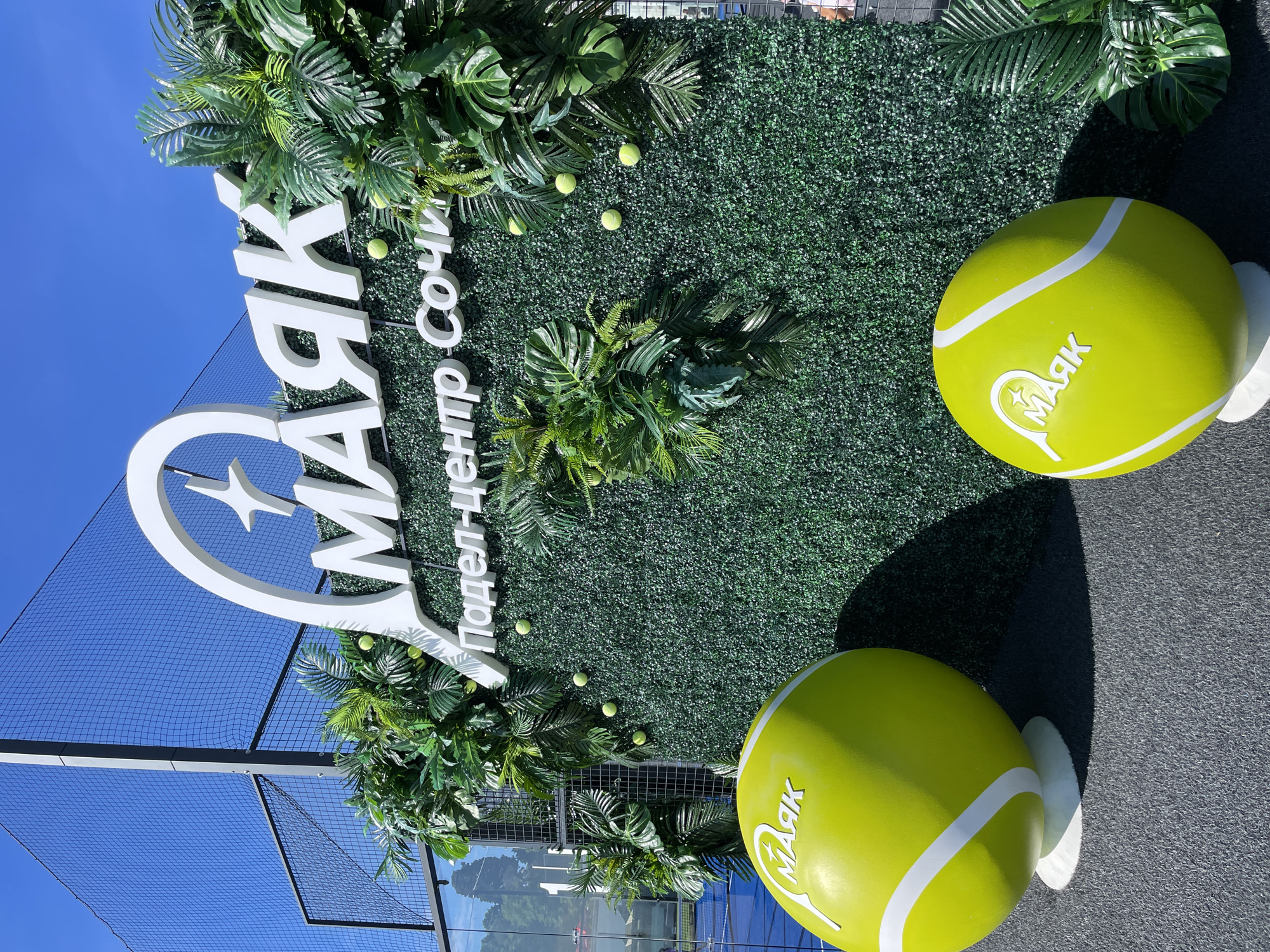 This outdoor image captures a vibrant promotional display for a sports facility, likely a padel or tennis center in Sochi, Russia. No people are visible.
The central feature is a large white sign mounted on an artificial green hedge wall, which is adorned with various types of artificial green foliage, including palm fronds, monsteras, and ferns. The sign prominently displays the word "МАЯК" (Mayak, meaning 'Lighthouse' or 'Beacon') in large white letters, accompanied by a logo resembling a stylized racquet or bird/plane. Below this, smaller white letters read "ПАДЕЛ-ЦЕНТР СОЧИ" (Padel-Center Sochi), explicitly identifying the location and type of venue. Several small, yellow tennis balls are scattered within the artificial hedge, further enhancing the sports theme.
On the dark grey ground in front of the hedge wall are two oversized, bright yellow tennis balls. Each large ball features white curved lines and the "МАЯК" logo, which incorporates a star and what appears to be a tennis racquet. Clear, defined shadows cast by these large tennis balls and the sign suggest bright sunshine, indicating it is daytime, possibly mid-day.
To the left, a section of a black net or fence structure, typical of a sports court enclosure, is visible against a clear, brilliant blue sky. The overall scene conveys a sunny, inviting atmosphere at a padel or tennis facility in Sochi.