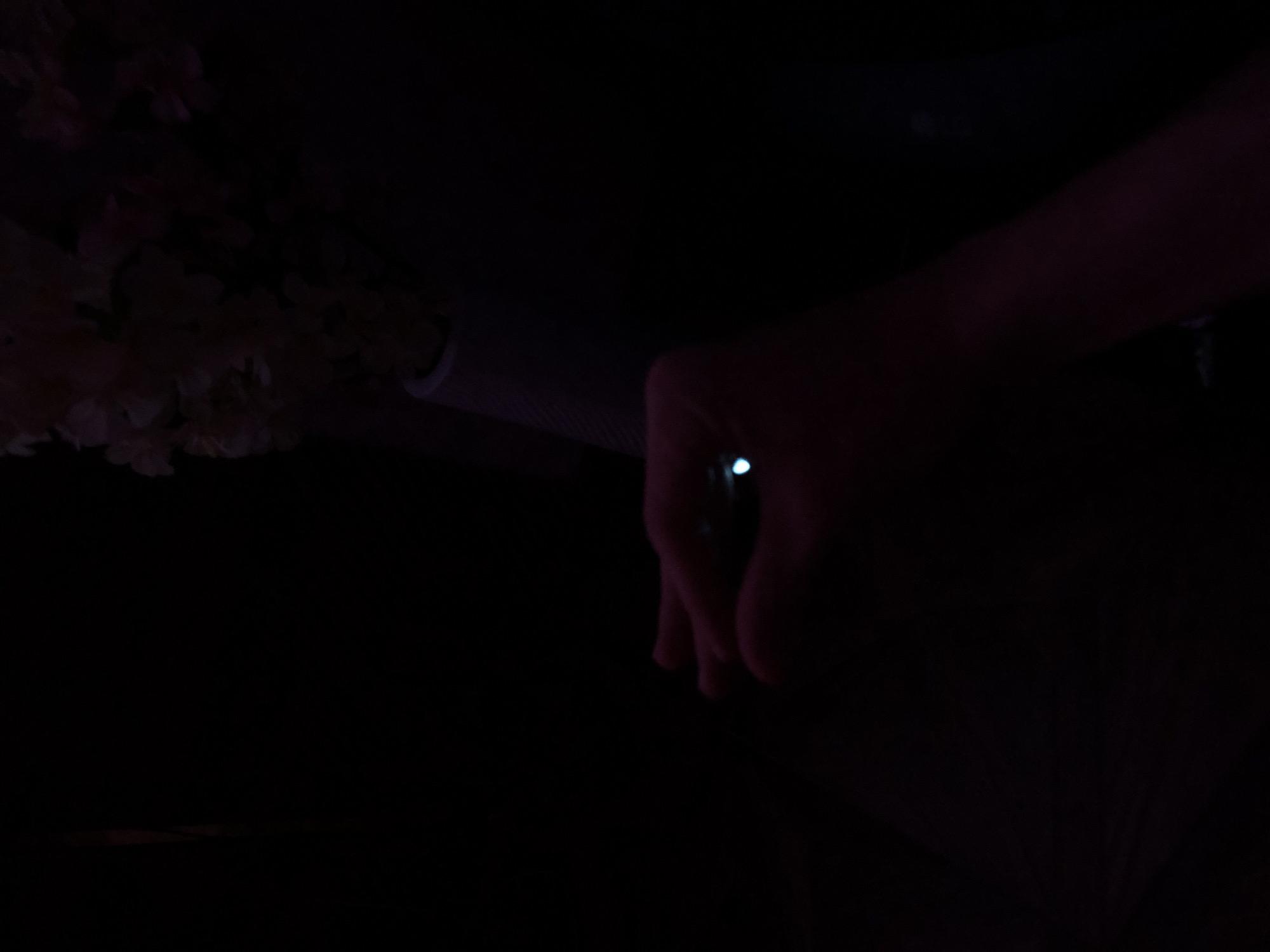 A close-up, low-light image shows a hand holding a cylindrical object with floral decorations at the left edge. The hand, situated on the right, is partially visible, with fingers around the object.