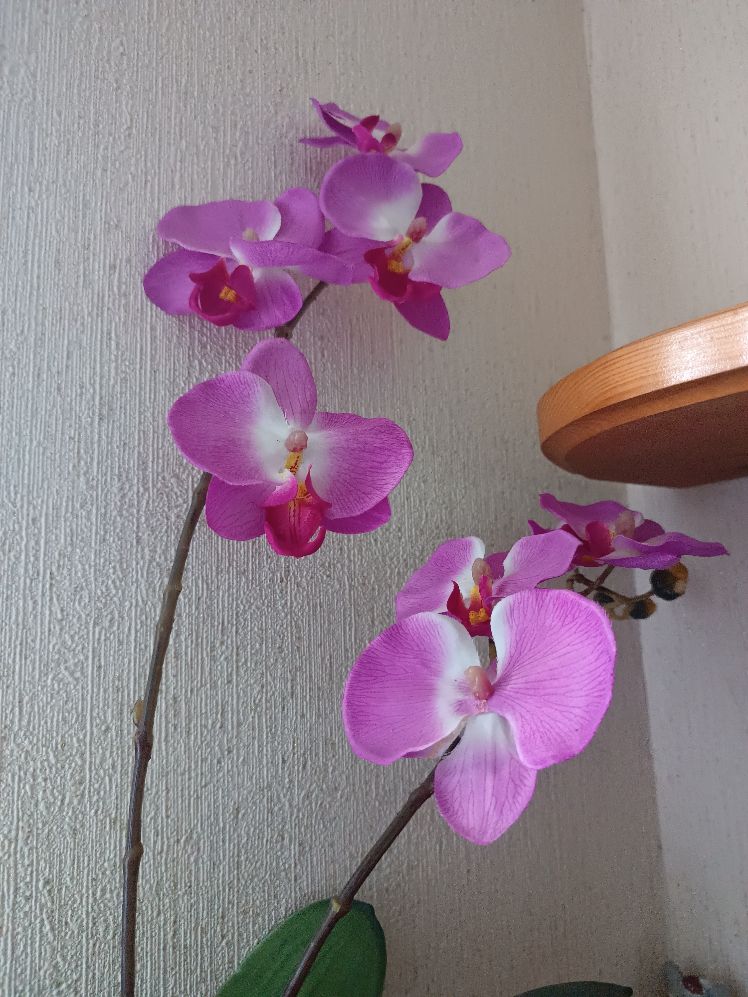 The image shows a close-up of pink and white orchid flowers with green leaves. The orchids are arranged with stems that extend vertically. In the background, there is a light-colored wall with a textured surface and a round wooden shelf attached to the wall. The location is not discernible from the image.