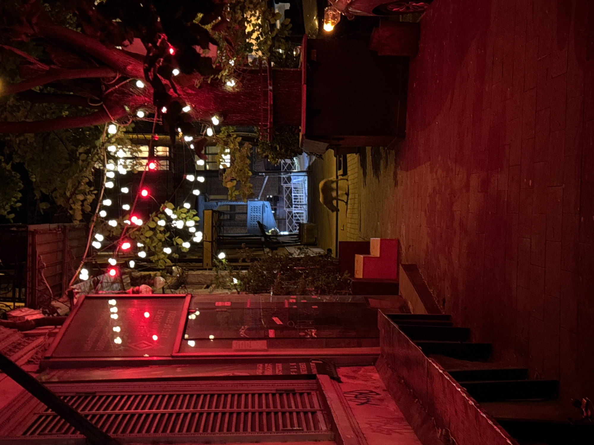 The image captures a narrow, dimly lit alleyway in Tbilisi, Georgia, at night. The alleyway is flanked by buildings, with one side featuring a set of stairs and a brick wall, bathed in a red hue from the lighting. Strings of white and red lights illuminate a tree and the area above, casting a warm glow. At the end of the alley, a dog is visible, standing in the light. The overall atmosphere is mysterious, with a play of light and shadow adding depth to the scene. The foreground features a window with red lights reflected on it.