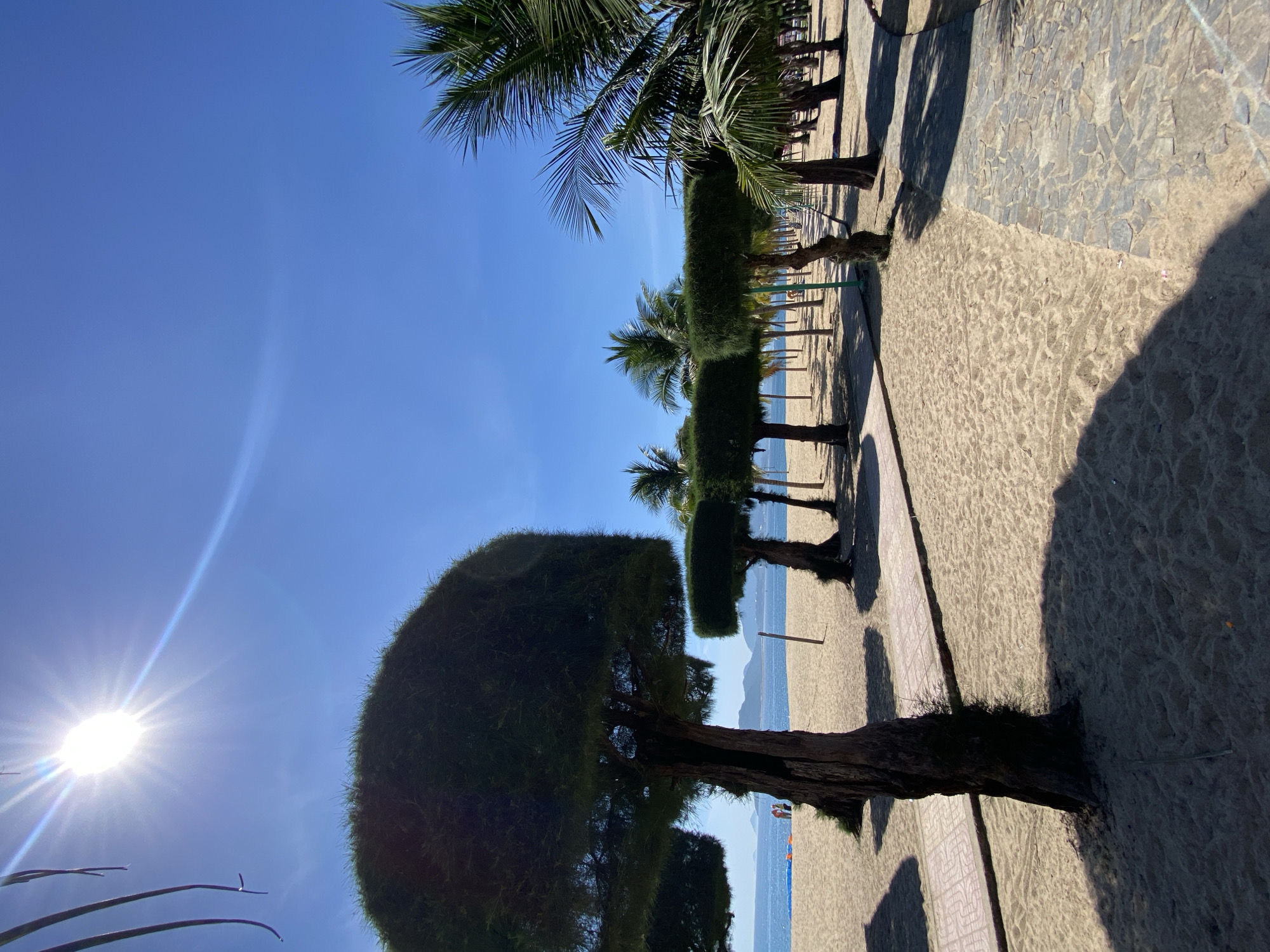 The image depicts a sun-drenched beach scene in Nha Trang, Vietnam. The foreground is dominated by a large, dark-leaved tree with a gnarled trunk, dramatically sculpted into a rounded canopy. To the right, a paved walkway made of irregular stone slabs runs alongside a sandy beach. A line of meticulously trimmed, rectangular bushes, interspersed with palm trees, stretches along the walkway, casting long shadows on the sand. In the distance, the calm, blue ocean meets a hazy horizon, with faint outlines of mountains visible. The sky is a vibrant, clear blue, with the sun shining brightly, creating a lens flare effect on the left side of the frame. The overall atmosphere is one of a tranquil tropical day. The presence of a few scattered people on the beach and in the water suggests a leisurely, relaxed setting. The image appears to have been taken in the late morning or early afternoon, given the strong sunlight and the length of the shadows. No visible text is present in the image.