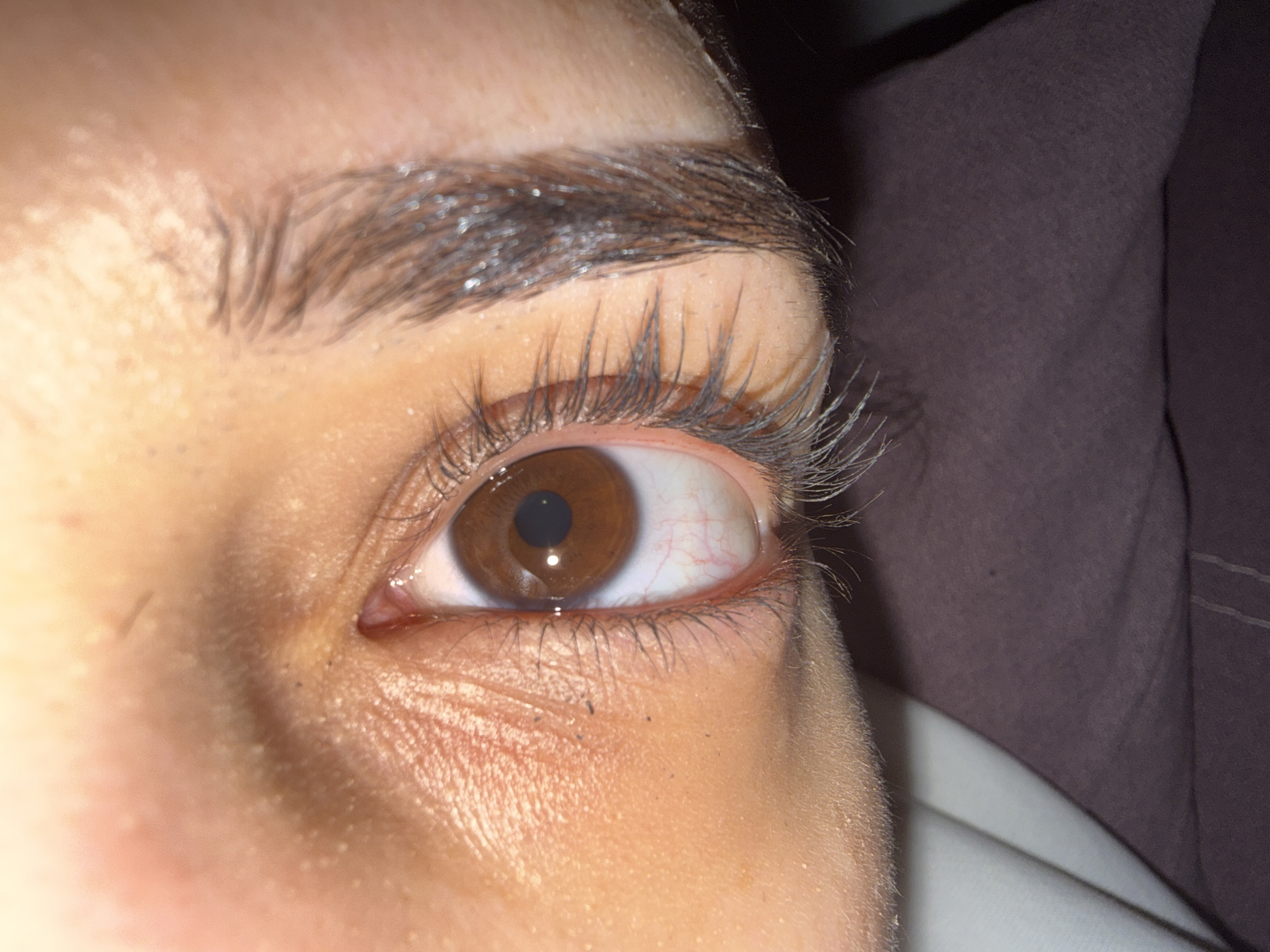 The image presents an extreme close-up of a human right eye. The eye features a brown iris, a dilated black pupil reflecting a discrete light source, and a white sclera exhibiting visible red vasculature. Long, dark eyelashes, some showing minute reflective particles, frame the eye. The light brown skin surrounding the eye displays pores, fine hairs, and subtle wrinkles, particularly below the lower eyelid. A thick, dark eyebrow is visible above the eye, also containing small reflective specks. The inner canthus appears moist. The background is blurred, showing a dark purple/brown textile to the right and a lighter, indistinct blurred area beneath it. The image lacks environmental context or landmarks necessary to identify a specific location, including a city such as Plovdiv, Bulgaria.
