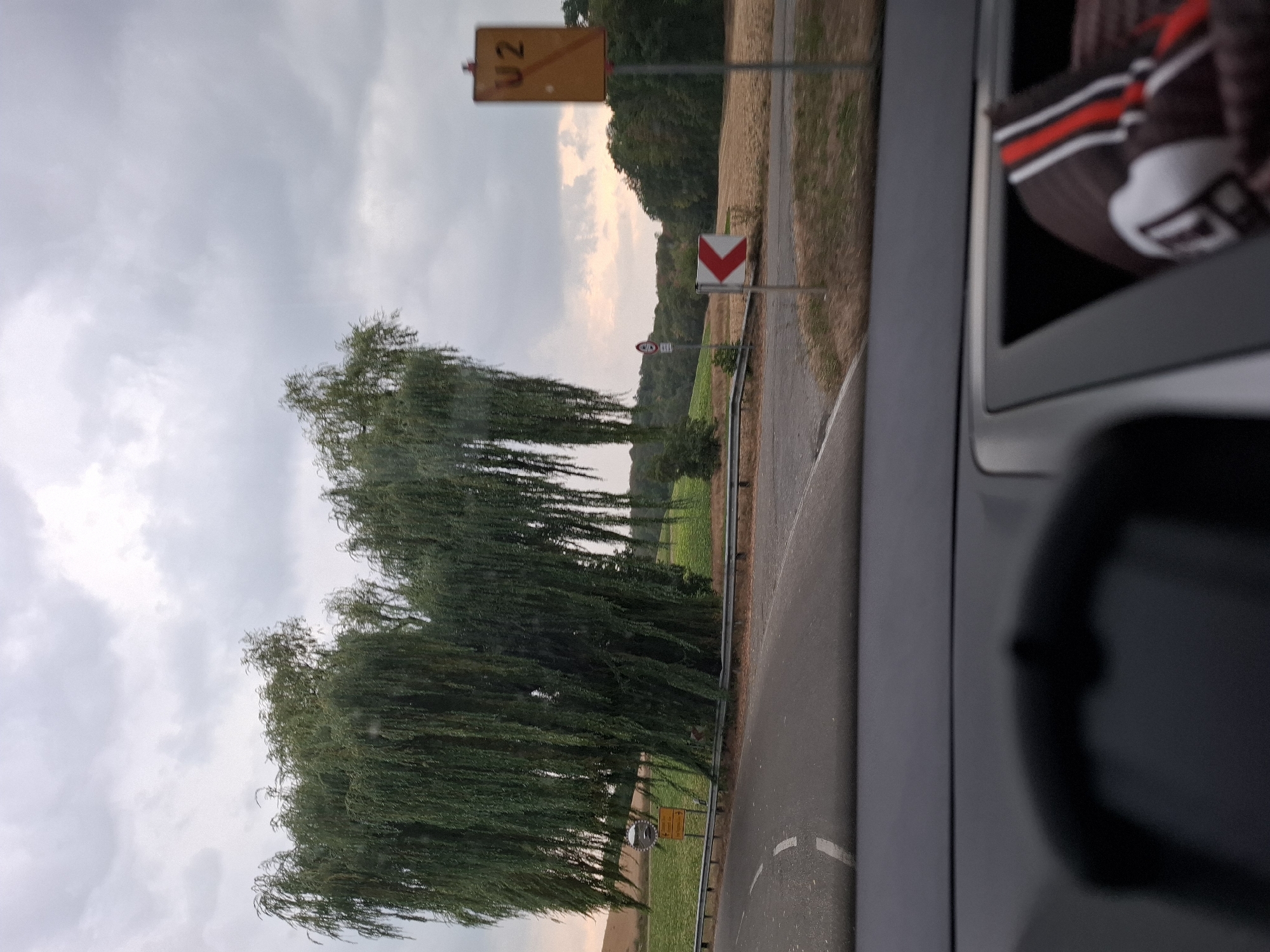 The image depicts a view from inside a vehicle, looking out at a weeping willow tree by a road in the countryside. To the right of the tree, a yellow sign with "U2" and a red diagonal line is visible, along with a white sign with a red arrow indicating a curve. A red and white directional arrow sign is also present. The sky is overcast. The landscape consists of fields and trees.