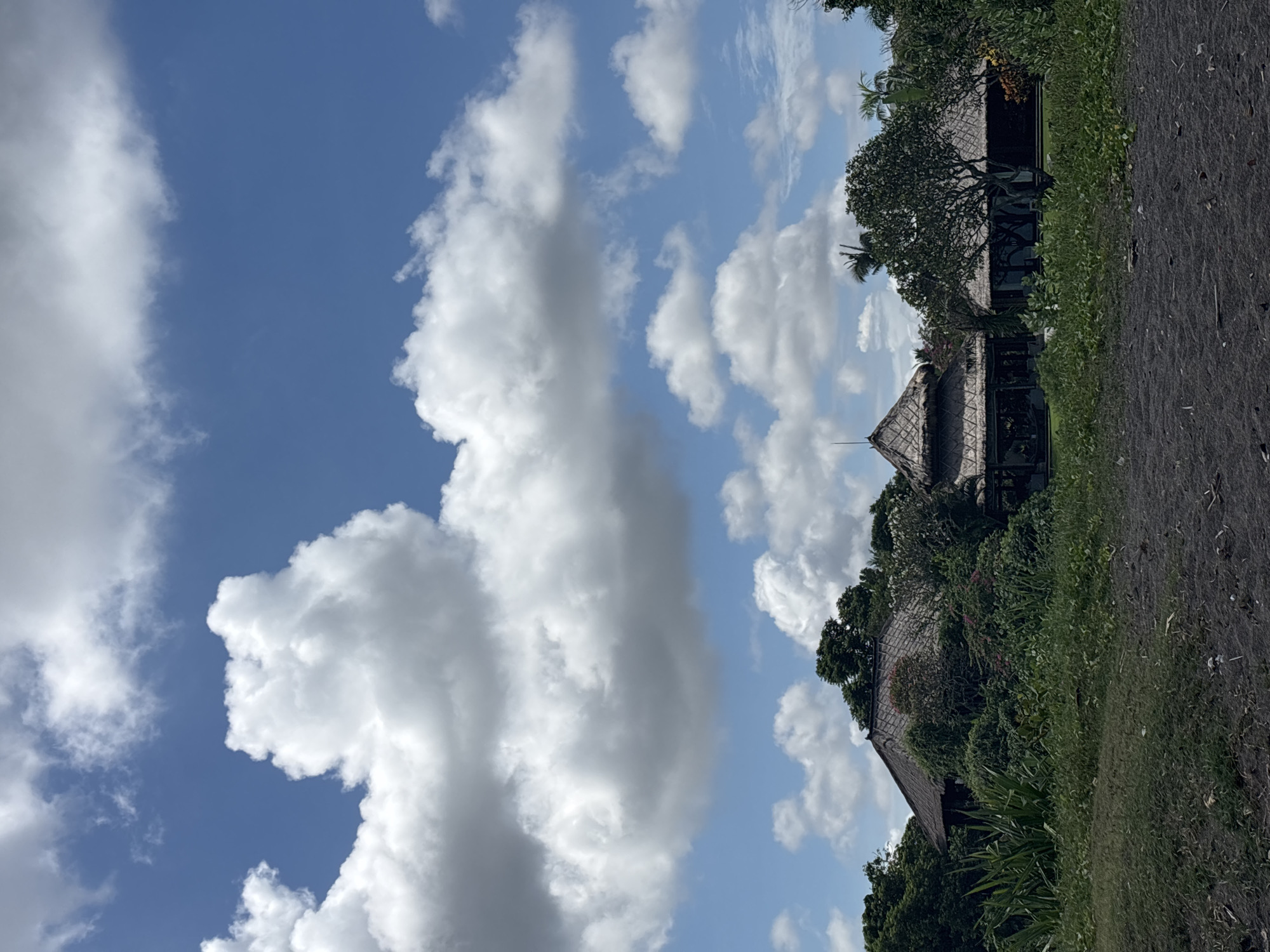 The photograph, taken in Mengwi, Indonesia, presents a landscape dominated by a vibrant blue sky filled with puffy white clouds. A grouping of traditional Indonesian buildings are on the right, with steeply pitched roofs, suggesting residential structures. The buildings are surrounded by lush green foliage, including trees and grasses, indicating a tropical environment. A dark gray, potentially volcanic sand path runs alongside the buildings and foliage. The overall impression is of a tropical scene in a natural setting with elements of Indonesian architecture.