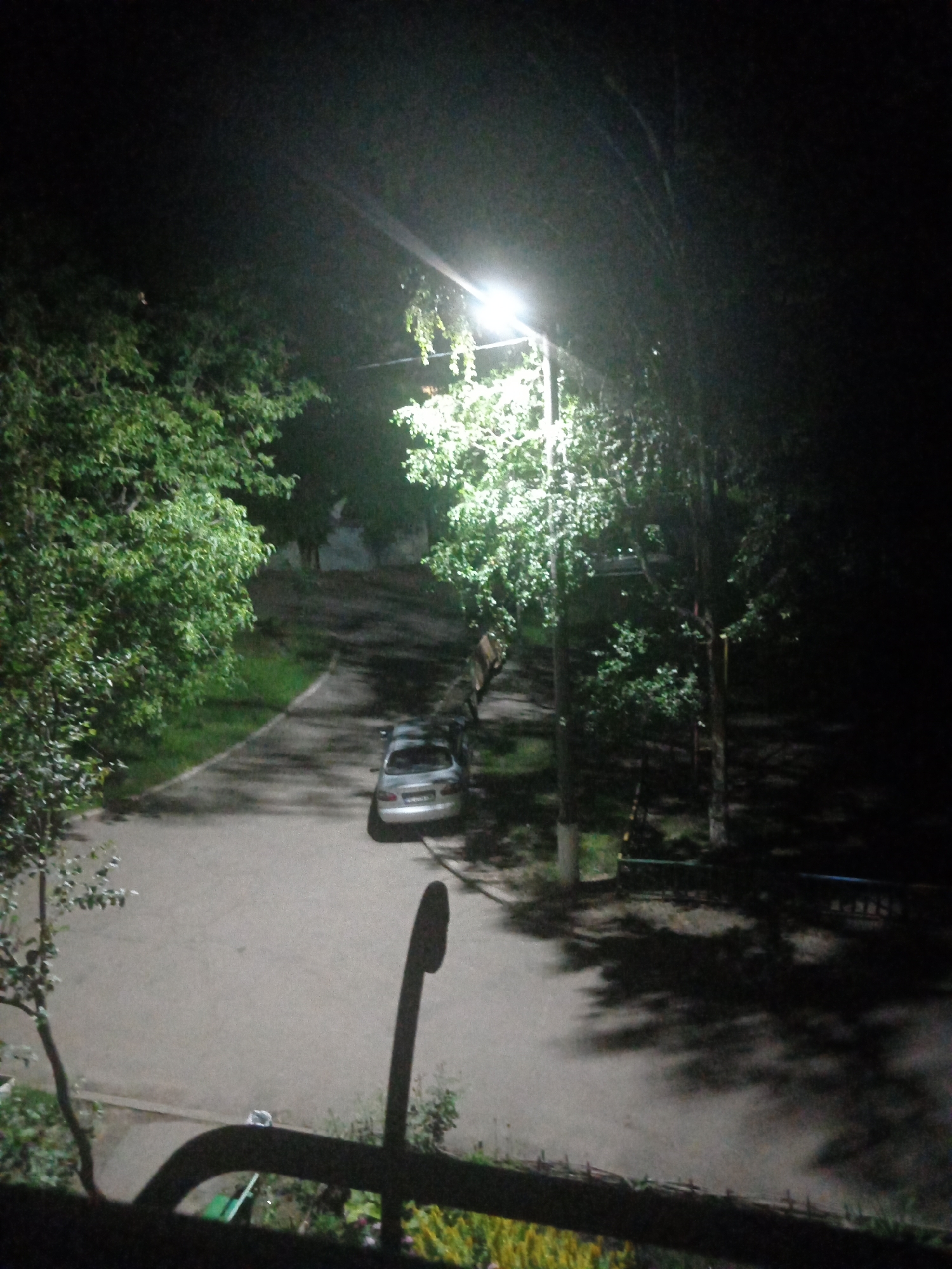 The image depicts a nighttime scene in a city setting, likely a residential area or park, given the presence of trees lining a paved walkway and a parked car. A street lamp illuminates the area, casting shadows from the trees onto the ground. A silver car is parked on the right side of the walkway. In the foreground, a dark, silhouetted metal railing or structure is visible, with some greenery and what appears to be yellow flowers below it. The background shows more trees and what might be the side of a building. There are no people visible in the image.