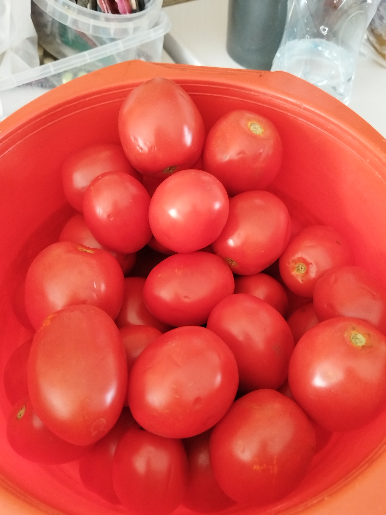A close-up, top-down view of a bright orange bowl filled with numerous ripe, red tomatoes. The tomatoes are of various sizes and shapes, with some appearing more oval and others more round. The bowl is positioned on a white surface, and in the background, blurred elements include clear plastic containers with what appears to be various items inside, and a partially visible clear plastic bottle containing a light blue liquid. The scene is indoors, possibly in a kitchen or pantry. The location of Minayevka, Russia is not determinable from the image.