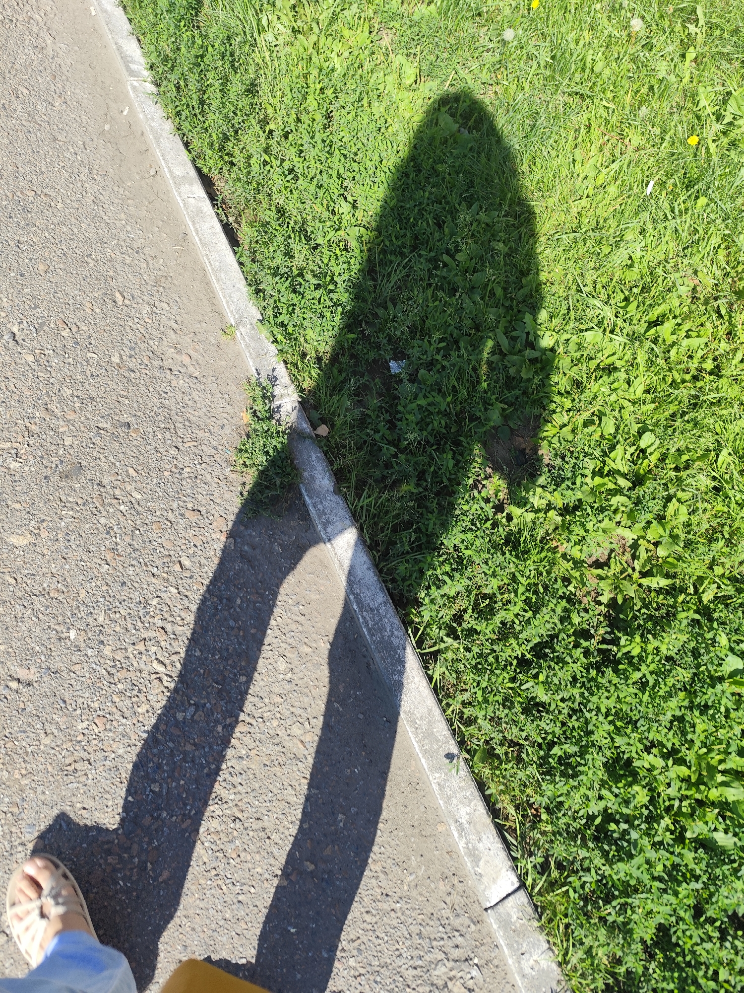 The image captures a perspective shot of a person's legs and feet, casting long shadows on a paved area and a grassy verge. The pavement appears to be asphalt, with small pebbles visible. Adjacent to the pavement is a concrete curb, separating it from a vibrant green lawn. The lawn is densely covered with various types of grass and some small wildflowers, suggesting an outdoor setting. The shadows indicate that the sun is positioned to the left and slightly behind the viewer. The overall scene is one of a typical urban or suburban sidewalk on a sunny day. Based on the provided information, this scene is located in the city of Petropavl, Kazakhstan.