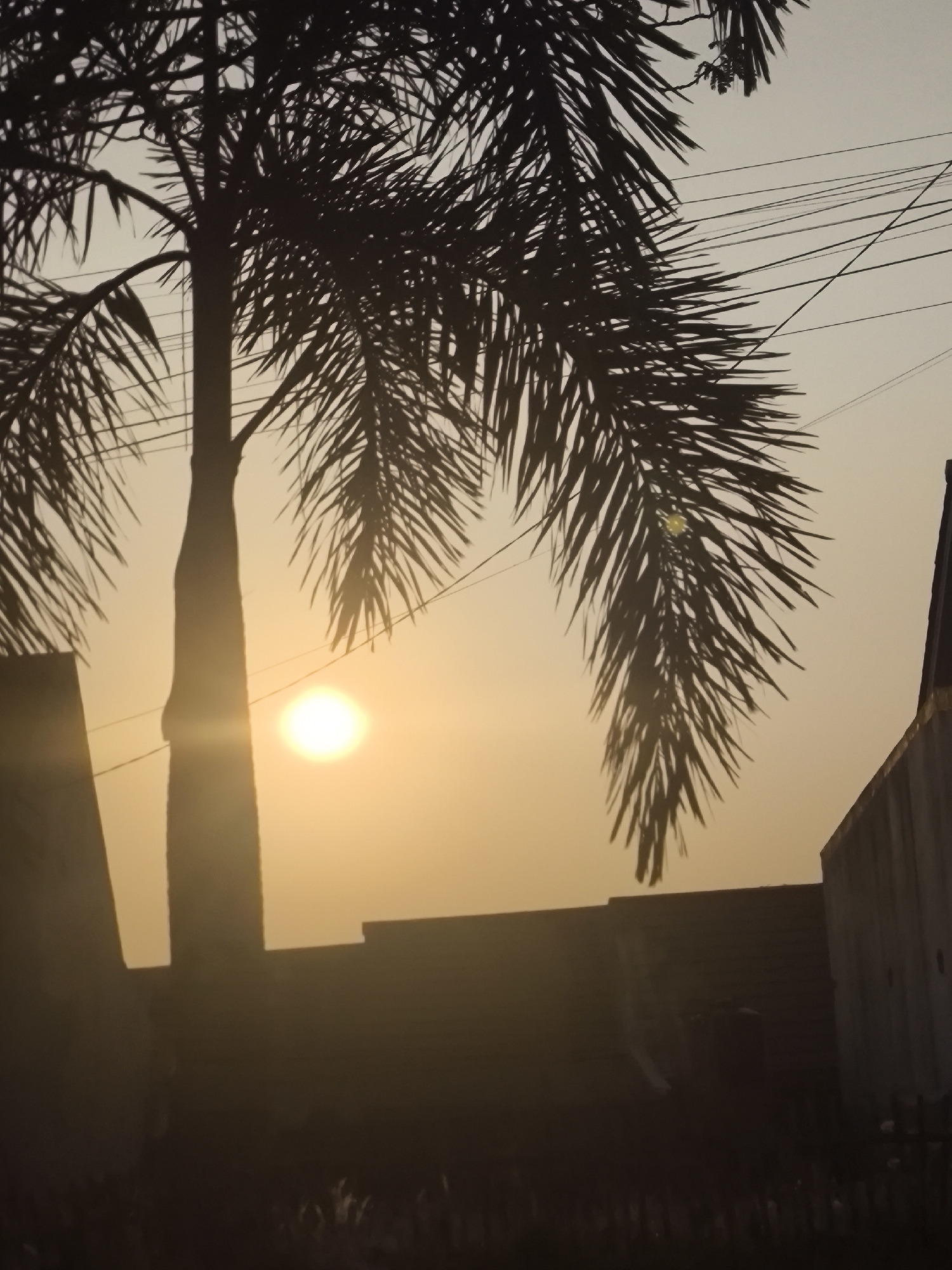 The image captures a silhouette of a palm tree against a hazy sky at sunset. The sun is visible as a bright orb, casting a warm glow. In the foreground, darker silhouettes of buildings and what appears to be a fence line are present. Overhead, a network of electrical wires crisscrosses the sky, adding a touch of urban texture. The scene suggests a possibly residential or semi-urban environment in Cilegon, Indonesia, characterized by the presence of palm trees, buildings, and utility infrastructure. The time of day, indicated by the sunset, creates a serene yet somewhat muted atmosphere.