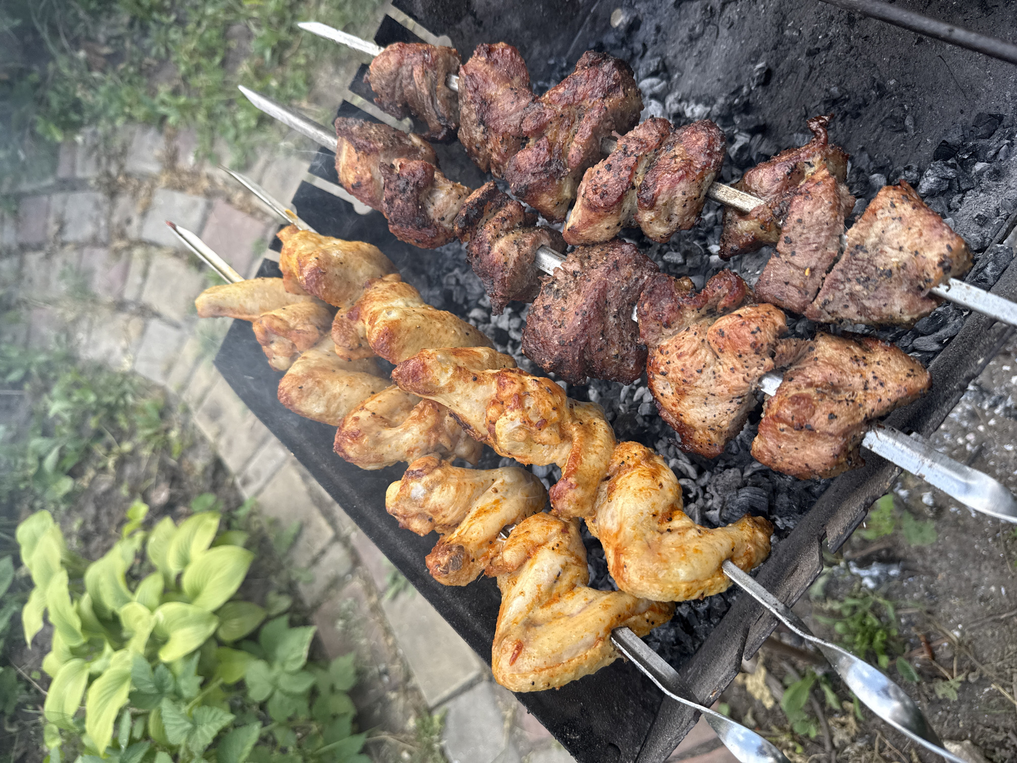 The image displays an outdoor grilling scene in the city of Valky, Ukraine. Eight metal skewers are positioned horizontally over a black metal barbecue grill (mangal) containing glowing charcoal embers and grey ash. Faint wisps of smoke are visible rising from the grill.
The four skewers on the left side are laden with cooked chicken wings, which appear golden-brown with light charring and visible seasoning. Each skewer holds approximately two to three wings. The four skewers on the right side hold multiple chunks of cooked meat, possibly pork or beef, which are browned with dark charring and visible spices. Each of these skewers contains approximately three to four meat pieces.
The grill is situated on a light-colored paved surface, composed of rectangular bricks or pavers. Beyond the paved area, a natural environment is visible, dominated by green vegetation. A large-leafed plant, possibly a Hosta, with light green foliage, is prominent in the upper left background, alongside other smaller green plants and areas of dark earth. No individuals are present in the frame. The lighting indicates daytime conditions.