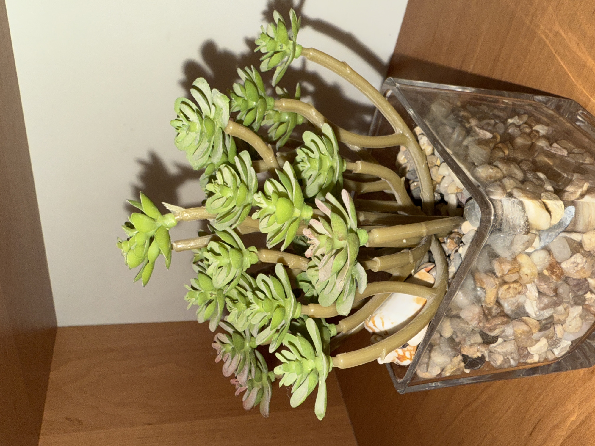 The image displays a close-up view of an artificial succulent plant in a clear glass square planter filled with small pebbles and a few shells. The plant has numerous green, rosette-shaped leaves on light brown stems. The planter sits on a wooden surface, likely a table or shelf, with a light-colored wall in the background. The lighting creates a shadow of the plant on the wall to the right. The environment suggests an indoor setting, possibly a home or office, without any indication of Găvănoasa, Moldova. There are no people or actions depicted in the image.
