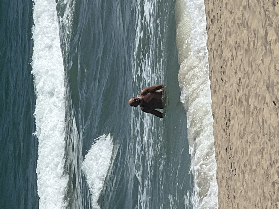 An aerial view showcases a man in the ocean near the beach. He is positioned where the waves break, appearing to be enjoying the water. The ocean, with its frothy waves, contrasts with the smooth, golden sand of the beach. The man is the focal point, surrounded by the dynamic movement of the water.