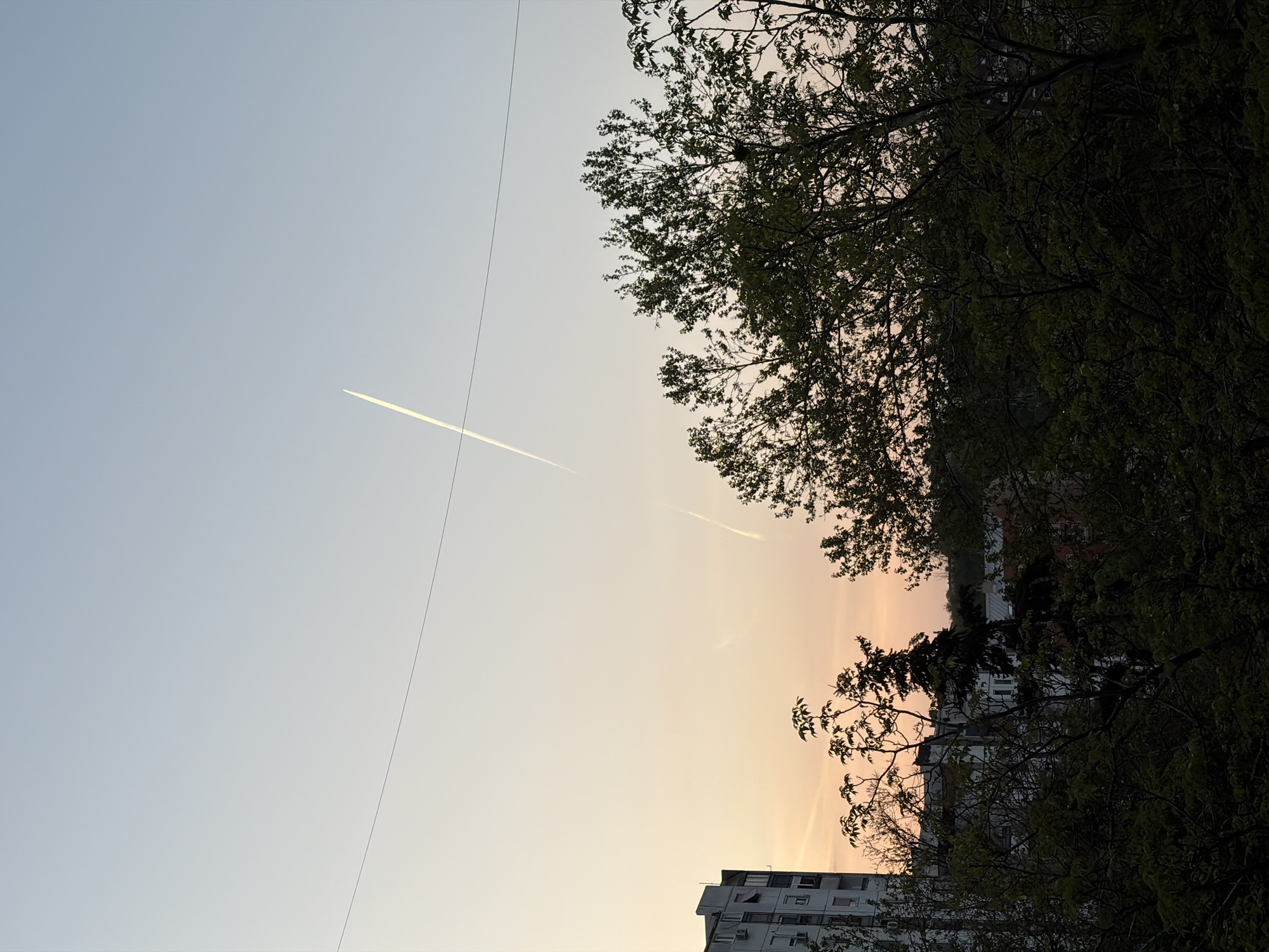 The image captures an outdoor urban or suburban scene, likely in Belgrade, Serbia, during either sunrise or sunset. The sky dominates the view, presenting a gentle gradient from a pale, clear blue on the left to a soft, warm orange-pink hue on the right, characteristic of twilight.
Two airplane contrails are visible against the sky. A prominent, bright white contrail slices diagonally across the upper left and middle sections of the sky. A second, fainter contrail is visible further to the right. A very thin, dark, straight line, likely a power line or wire, stretches vertically from the top of the frame towards the bottom left, crossing the sky.
On the right side of the image, and extending slightly into the bottom right, are the dark silhouettes of numerous trees. Their dense foliage, some of which shows visible green leaves, frames the colorful sky. At the bottom of the image, partially obscured by the trees, is a multi-story, light-colored apartment building with visible windows and balconies. The overall impression is one of calm and serenity, capturing a quiet moment in an urban environment as the day begins or ends. There is no visible text in the image.