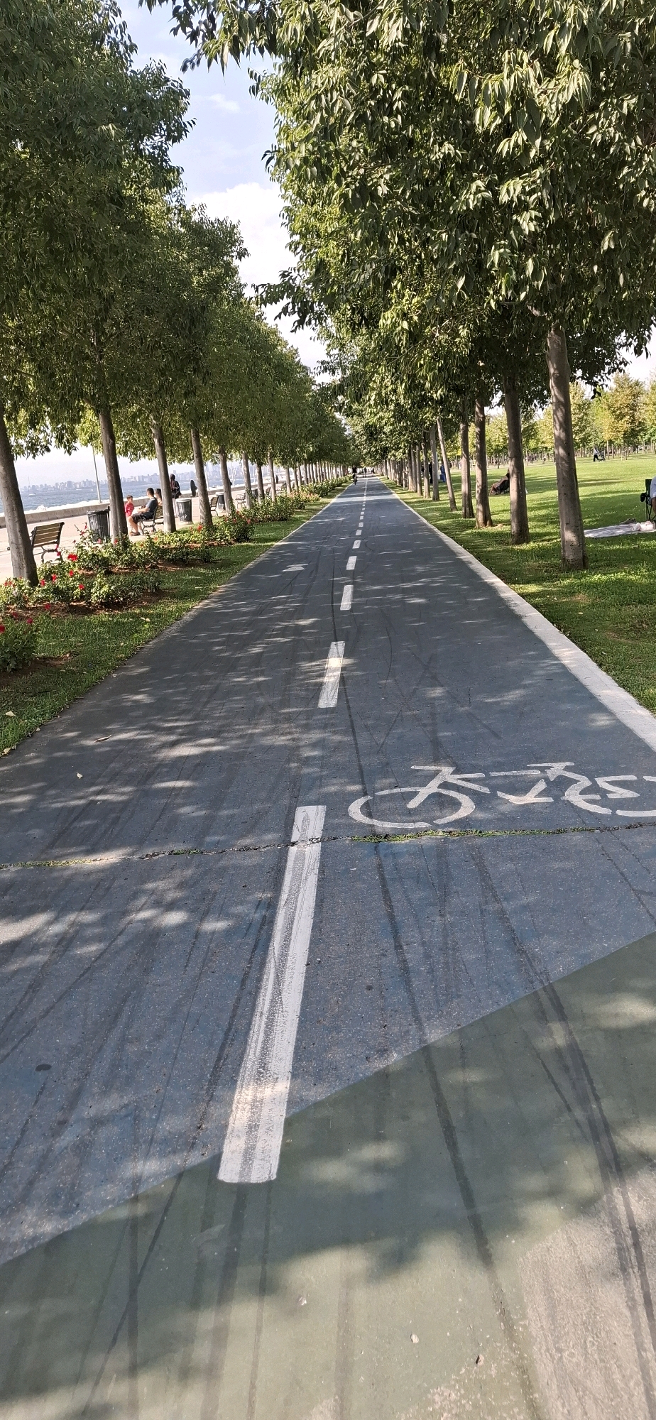 A long, paved bike path runs through a park lined with tall trees on the left and a grassy area on the right. The bike path has white dashed lines and a white bicycle symbol painted on it. In the distance, a body of water is visible, with a city skyline on the horizon. Several people are seated on benches and on the grass in the park. The scene appears to be in Maltepe, Turkey, given the context provided.