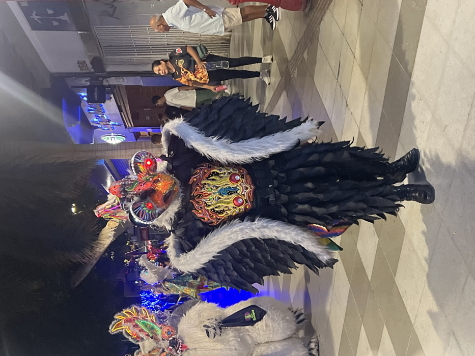 The image depicts a nighttime street scene in the city of Arica, Chile, focusing on a cultural event or parade. In the foreground, a person is dressed in an elaborate, dark, bird-like costume. The costume features black feather-like panels covering the body, a prominent white faux-fur collar, and a vibrant, intricately patterned chest piece with red, yellow, blue, and green embellishments. The mask is bird-like with a large beak, dark metallic elements, and two prominent glowing red lights representing eyes. The individual is wearing black combat boots. To the left, partially obscured, is another performer in a bulky white furry costume, possibly a mythical creature or animal, adorned with illuminated headwear and carrying a small dark bag. Further in the background on the left, additional figures in colorful, illuminated costumes are visible, suggesting a procession. On the right, two adult bystanders observe the scene. A woman with dark hair wears an orange and black patterned short-sleeved shirt, dark pants, and light-colored sneakers, holding a clear plastic water bottle. Next to her, a man with light skin and a balding head wears a light-colored short-sleeved shirt, light-colored shorts, and dark sneakers. They are standing on a light-colored paved sidewalk with a subtle checkered pattern. In the background, dark commercial buildings with closed metal grates and illuminated signs, including a "Lavazza" sign and a partially visible blue neon sign for "Happy Man," line the street. Palm trees are visible against the dark sky. Artificial street lighting and blue light from storefronts illuminate the scene.