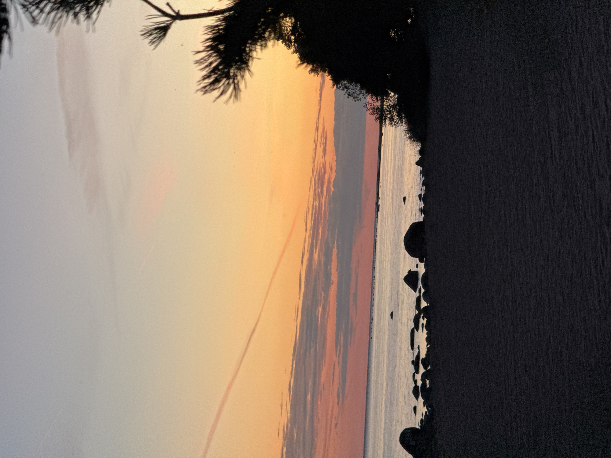 The image depicts a serene beach scene at sunset, likely in Zelenaya Roshcha, Russia. The sky is a gradient of soft oranges and yellows, transitioning to a pale blue at the top. A thin, reddish contrail streaks diagonally across the upper portion of the sky. Scattered, dark clouds are visible along the horizon, tinted pink by the setting sun.
The foreground is dominated by dark, textured sand, suggesting a beach. The middle ground features a calm body of water, likely the sea, with smooth reflections of the sky. Several dark, rounded stones are partially submerged in the water along the shoreline, and larger, dark stones are visible on the beach. To the right, a silhouette of dense foliage and a pine tree branch with needles obscures part of the sky and horizon. No people or animals are present in the frame. The overall atmosphere is peaceful and tranquil.