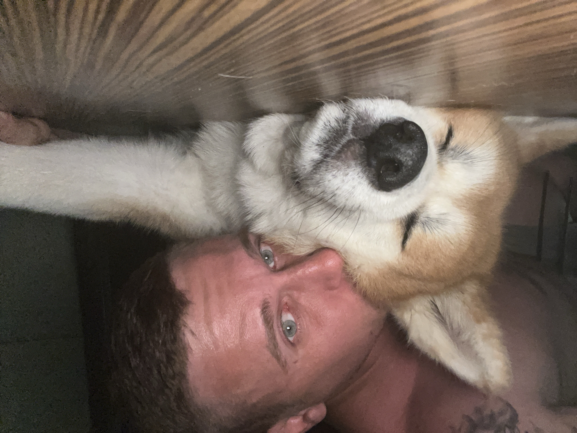An overhead, low-angle photograph captures a male individual and a domestic dog lying together on a wooden floor. The man, positioned on his side, has short dark hair, light blue-grey eyes looking directly at the camera, and faint stubble. His skin appears slightly flushed. A dark tattoo is partially visible on his upper left arm or shoulder, and he wears a dark garment. His face is pressed gently against the fur of the dog. The dog, consistent with a Shiba Inu or Akita breed with its pointed ears and cream/tan and white coat, is lying on its side with its eyes closed, appearing to be asleep or resting. Its black nose and white muzzle are prominent. The subjects are situated on a polished wooden floor with visible grain patterns. The background is dark and indeterminate, suggesting an indoor setting with low ambient lighting. A human hand is partially visible at the far right edge of the frame. The image contains no discernible information to indicate its location in Minsk, Belarus, or any other specific geographic coordinates.