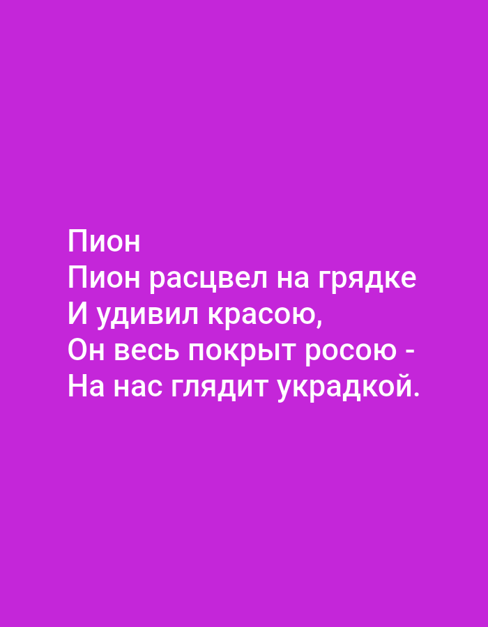 A poem in Russian is displayed on a bright purple background. The text reads: "Пион / Пион расцвел на грядке / И удивил красою, / Он весь покрыт росою - / На нас глядит украдкой." This translates to: "Peony / The peony bloomed in the garden / And surprised with beauty, / It is all covered in dew - / It looks at us furtively." There are no people, animals, objects, or any indication of the city of Tallinn, Estonia, present in the image.