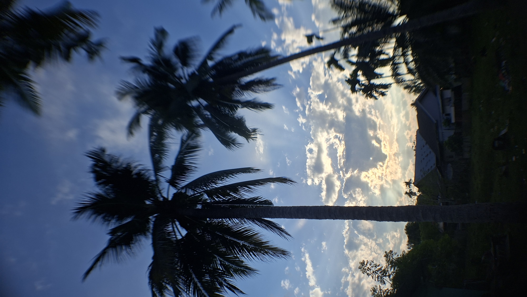 The image depicts a silhouette of coconut palm trees against a bright, cloudy sky during what appears to be sunrise or sunset. The sun's rays are visible filtering through the clouds, creating a dramatic effect. In the foreground, the dark silhouettes of palm trees dominate the scene, with their fronds blurred by motion or a shallow depth of field. Beneath the trees, a residential area with several houses can be seen, some with visible roofs. The overall environment suggests a tropical or coastal location. Based on the context provided, this scene is located in Lhokseumawe, Indonesia. The time of day is indicated by the lighting conditions and the angle of the sun. There are no people or discernible actions captured in the image.