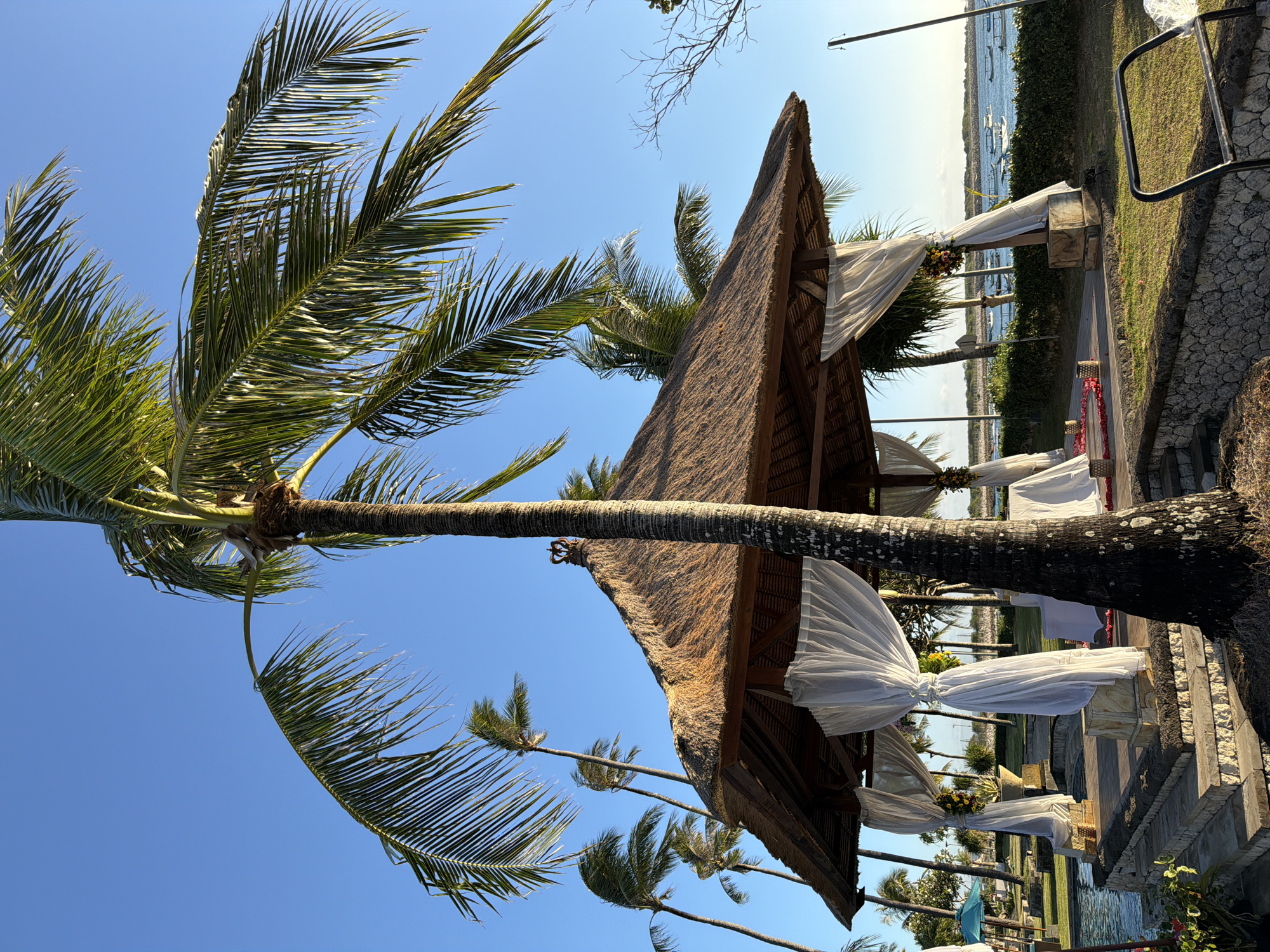 This image presents a picturesque tropical outdoor setting, likely a resort or event venue in Kuta, Indonesia. The scene is bathed in bright sunlight under a clear, azure sky, indicating excellent weather conditions.
The most prominent subjects are several tall palm trees with lush green fronds, some reaching into the upper corners of the frame. Their rough, textured trunks stand out against the blue. Central to the composition is a charming hut or pavilion featuring a distinctive, steeply pitched thatched roof, typical of tropical architecture.
The area around the hut is elaborately decorated, suggesting a special event or ceremony. White, flowing sheer fabric drapes are elegantly tied around the structure and extend outwards, adorned with vibrant floral arrangements primarily in hues of yellow and maroon. Beneath these drapes, stone pedestals or small altars are visible. A paved pathway, possibly leading towards the water, is subtly strewn with scattered red petals, resembling a ceremonial aisle.
In the background, beyond a manicured grassy area and a stone wall topped with a black metal railing, lies a calm body of water, likely the ocean or a bay, with several small boats anchored in the distance. The overall impression is one of tranquility and celebration. No people are visible, but the meticulously arranged decorations strongly point to a wedding or similar festive gathering. The time of day appears to be late morning or early afternoon, with the sun casting clear shadows. No visible text is present in the media file.