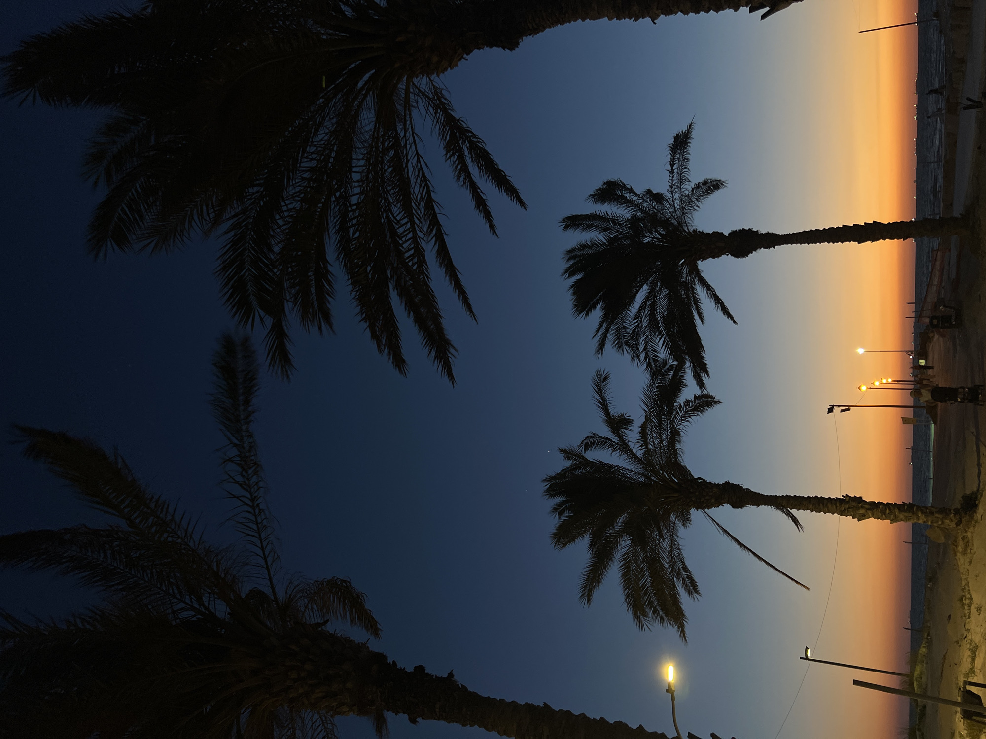 The image depicts a coastal scene in Kiryat Yam, Israel, at twilight or sunset. The sky exhibits a clear gradient, transitioning from deep dark blue at the top to a vibrant orange-yellow hue above the horizon. Silhouetted against this sky are five visible palm trees: two partially frame the upper left and right corners, and three stand prominently in the lower half of the frame. One central palm tree displays a notably broken or drooping frond.
In the foreground, a sandy beach area occupies the lower left, adjacent to a paved promenade or walkway that extends into the distance towards the right. Multiple streetlights with bright yellow-orange illumination are positioned along this promenade, casting light on the path. One such streetlight is visible on the far left, partially obscured by a palm tree, and several others line the path to the right.
The Mediterranean Sea occupies the mid-ground, meeting the colorful horizon. The water surface appears dark, with numerous dark silhouettes of ships or boats visible on the distant horizon line. On the promenade, near the right edge, a human figure pushing a stroller or cart is discernible, moving away from the viewer. Other indistinct figures are present further down the promenade.