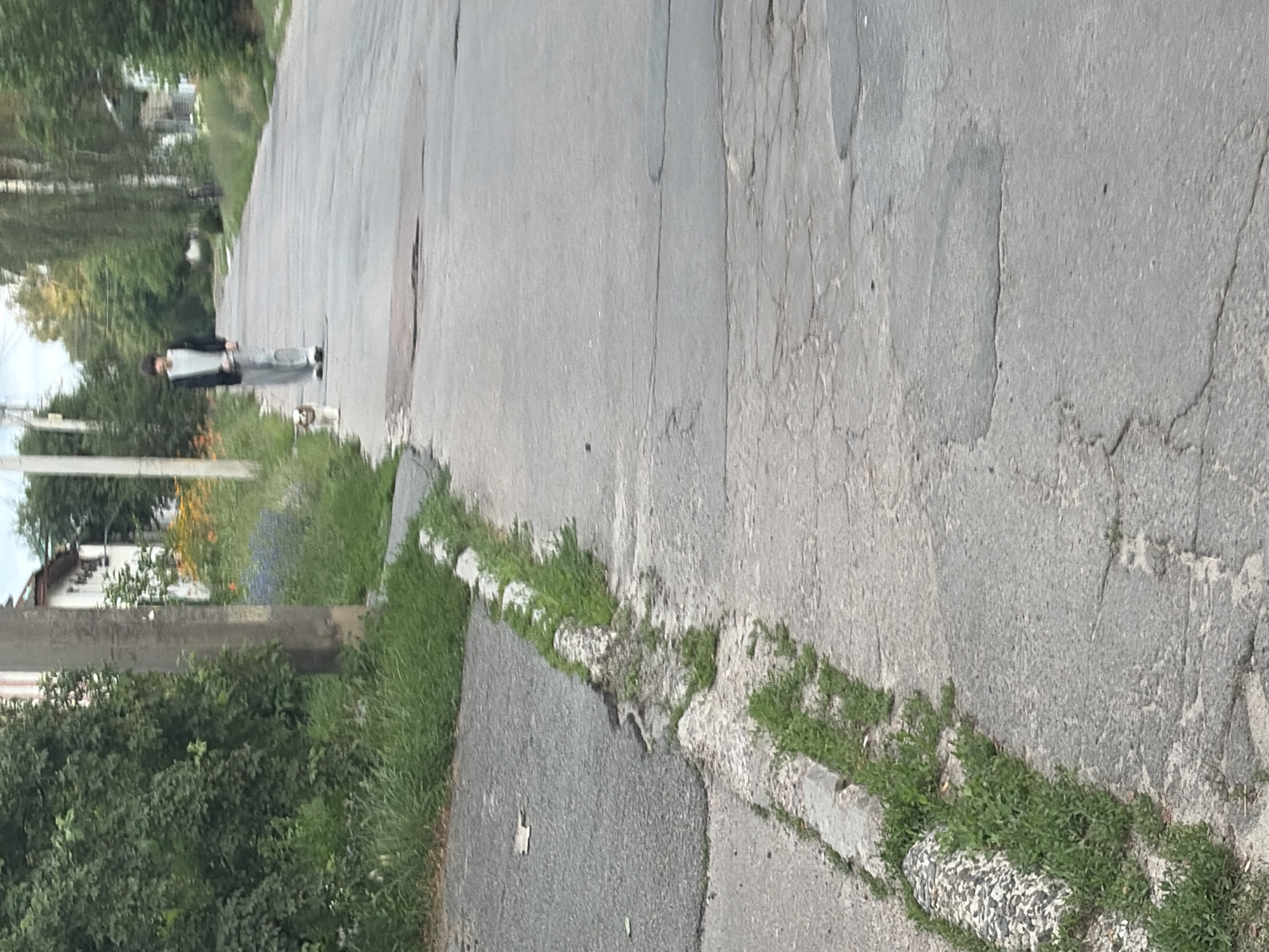 A full-body, slightly blurry, eye-level shot captures a person walking a small dog down a cracked asphalt road in a residential area. The person, appearing to be a young male with dark hair, is dressed in a grey sweatshirt and loose-fitting grey pants. He is on a leash, holding a leash with a small, light-brown and white dog. The road is lined with tall grass and trees on both sides, with buildings visible in the distance. A utility pole stands to the left of the frame, near a patch of vibrant green grass and some flowers. The sky is overcast. The scene appears to be in Chernihiv, Ukraine.
