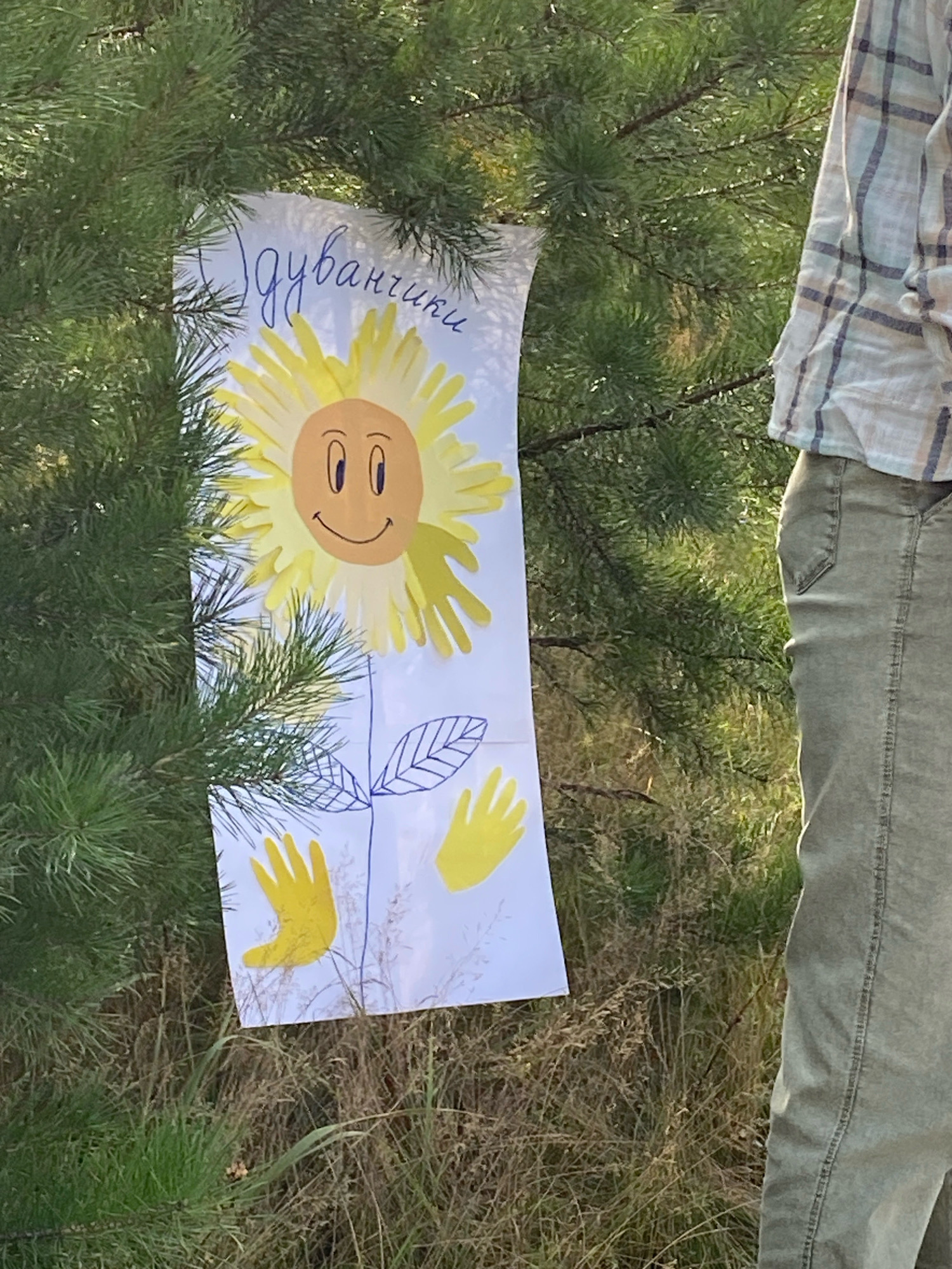 A vertical poster, likely made from paper, is attached to a pine tree in Noviy, Russia. The poster depicts a drawing of a sunflower with a smiley face, its petals formed from yellow handprints. A stem with two drawn leaves and two additional yellow handprints extend downwards. Inscribed above the sunflower in cursive blue writing are the Cyrillic words "Дуванчики", meaning "dandelions". To the right of the poster, a person wearing a plaid shirt and green pants is partially visible. The background consists of a dense pine tree and dry vegetation. The lighting suggests it is daytime.