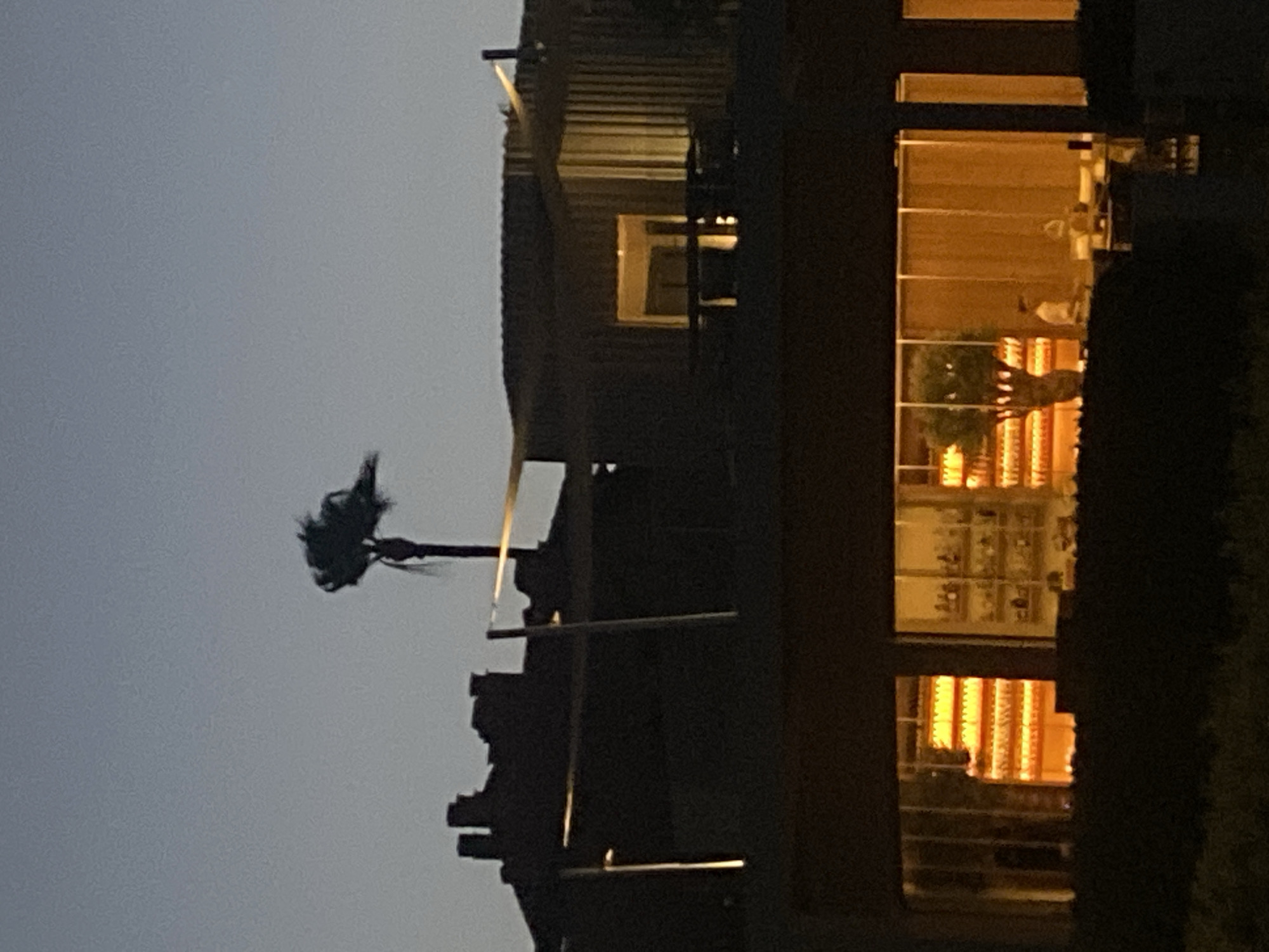 The image shows a twilight view of a building with large windows displaying illuminated shelves of bottles and a small tree. Silhouettes of people can be seen inside. In the background, a palm tree stands against a darkening sky, with the jagged outlines of other buildings visible. The building appears to be a restaurant or bar. The scene is likely located in Estepona, Spain, given the architectural style and vegetation commonly found in the region.