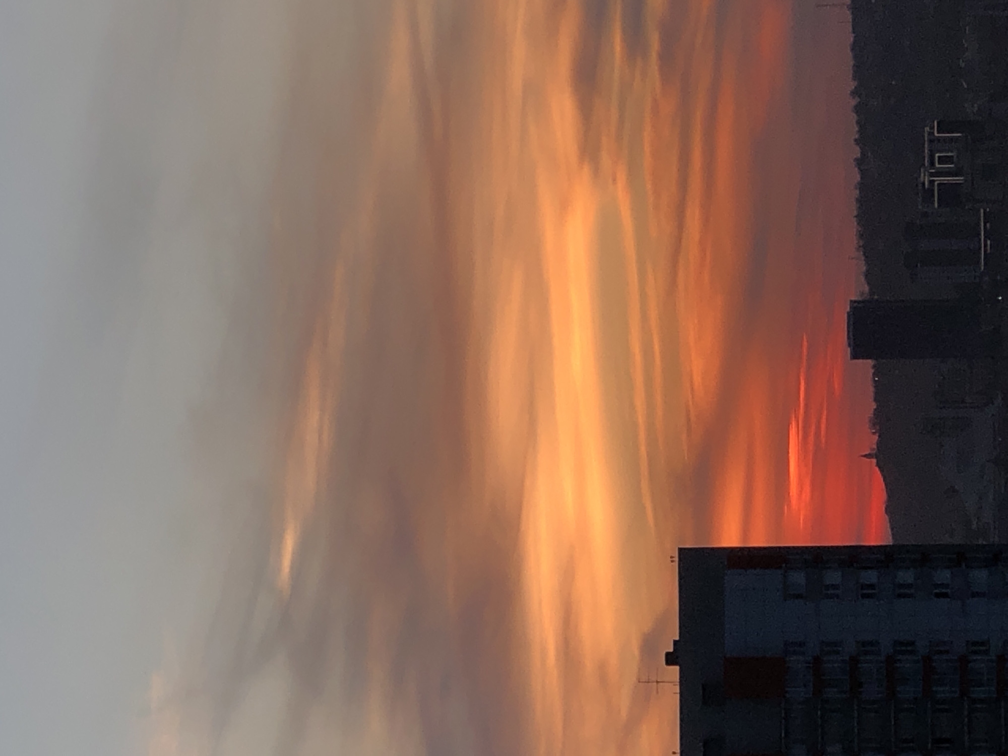 The image displays a spectacular sunset or sunrise over an urban landscape, dominated by a vividly colored sky. The original image is rotated, presenting a vertical panorama of the sky on the left and city structures on the right. When viewed correctly (rotated counter-clockwise), the sky occupies the upper portion, and the city skyline is at the bottom.
The sky is filled with elongated, wispy clouds, painted in a dynamic gradient of colors. Starting from a pale, light grey and soft orange on the far left (top), the hues transition dramatically to intense reds, fiery oranges, and golden yellows as they approach the center and right (bottom) of the frame. These streaky cloud formations appear to glow, suggesting the sun is positioned directly behind them or just below the horizon, illuminating them from within. The overall impression of the sky is one of breathtaking natural beauty and drama.
Below the vibrant sky, the silhouettes of buildings and distant hills define the horizon. A large, multi-story building is prominently featured in the lower right (foreground) of the frame, its dark form starkly contrasted against the luminous sky. Architectural details like windows and the outline of its roof are visible but heavily shadowed. Further along the horizon, other dark structures form a cityscape, receding into the distance, backed by the dark, undulating silhouette of hills or mountains. An antenna-like structure is visible near the foreground building.
The scene captures the specific time of day when the sun is very low, either rising or setting, creating a powerful natural light show. The weather appears clear, with no signs of precipitation, allowing for such vivid cloud coloration. There is no visible text in the image. The presence of both urban structures and distant mountains aligns with the geographical context of Krasnoyarsk, Russia. The image evokes feelings of awe and the serene beauty of twilight.