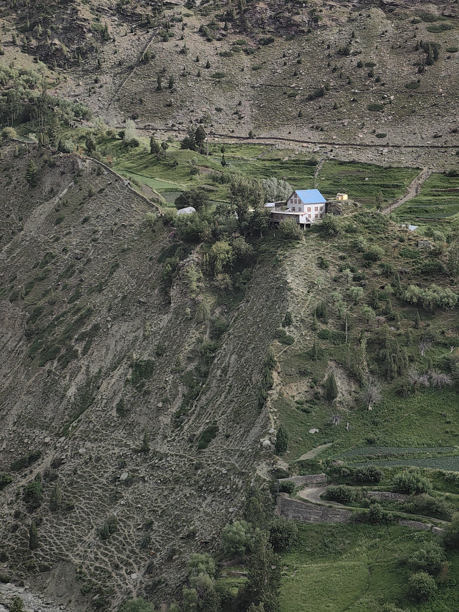 The image captures a panoramic view of a mountainous landscape in the vicinity of Kirting, India. The scene is dominated by rugged, rocky slopes interspersed with patches of greenery, suggesting an arid or semi-arid environment that supports vegetation in certain areas. A prominent feature is a white, two-story house with a blue roof, situated on a terraced hillside. The house appears to be a residential dwelling.
The terrain exhibits a variety of textures, from loose scree on the upper slopes to more consolidated soil and rock formations lower down. The vegetation includes scattered trees and shrubs, some of which are taller and more mature, while others appear to be younger or more resilient to the harsh conditions. The slopes are carved with pathways and terraces, indicative of human activity in adapting the landscape for habitation or agriculture.
In the foreground and middle ground, the slopes are densely covered with vegetation, creating a striking contrast with the sparser growth on the higher, rocky areas. Terraced fields, possibly for cultivation, are visible further down the hillside, marked by rows of crops and stone walls that retain the soil. A winding dirt road or pathway snakes its way through these terraces, connecting different parts of the settlement.
The overall impression is one of a remote, rural settlement nestled within a dramatic mountainous terrain. The human presence is evident through the architecture and the modified landscape, highlighting the ability of people to thrive in such challenging environments. The natural elements of the mountains, rocks, and vegetation are equally significant, defining the character of the location. The image conveys a sense of isolation and resilience.