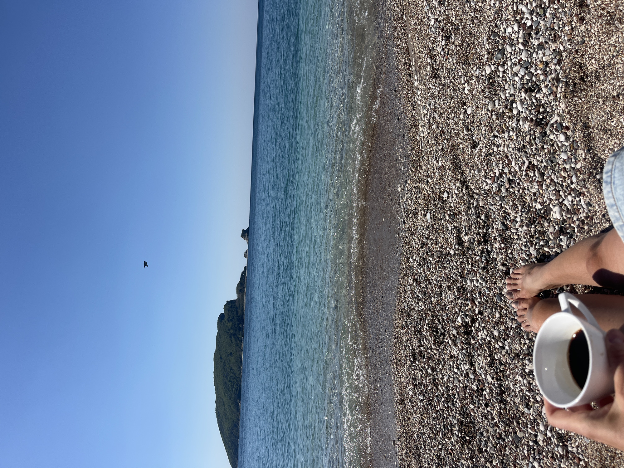 The image, taken in Budva, Montenegro, depicts a serene beach scene on a clear, sunny day. The perspective is from a seated or reclining person looking towards the sea.
In the foreground, a person's bare feet rest on a pebble beach, with part of their leg clad in denim shorts also visible. Hands hold a white ceramic mug, filled with a dark liquid, likely coffee, suggesting a relaxing moment.
The beach, composed of countless small, smooth pebbles in various shades of grey, brown, and white, meets the calm, blue-green waters of the sea. Gentle waves lap at the shoreline, creating a subtle foamy edge where the water meets the land.
Beyond the water, a verdant, mountainous island or landmass covered in dense green foliage rises against the horizon on the left side of the frame. The sky above is a bright, cloudless blue, gradually lightening towards the horizon. A small, dark bird is visible in flight against the clear sky on the upper left.
The overall impression is one of peaceful leisure and natural beauty, characteristic of a pleasant day by the coast. There is no visible text in the image.