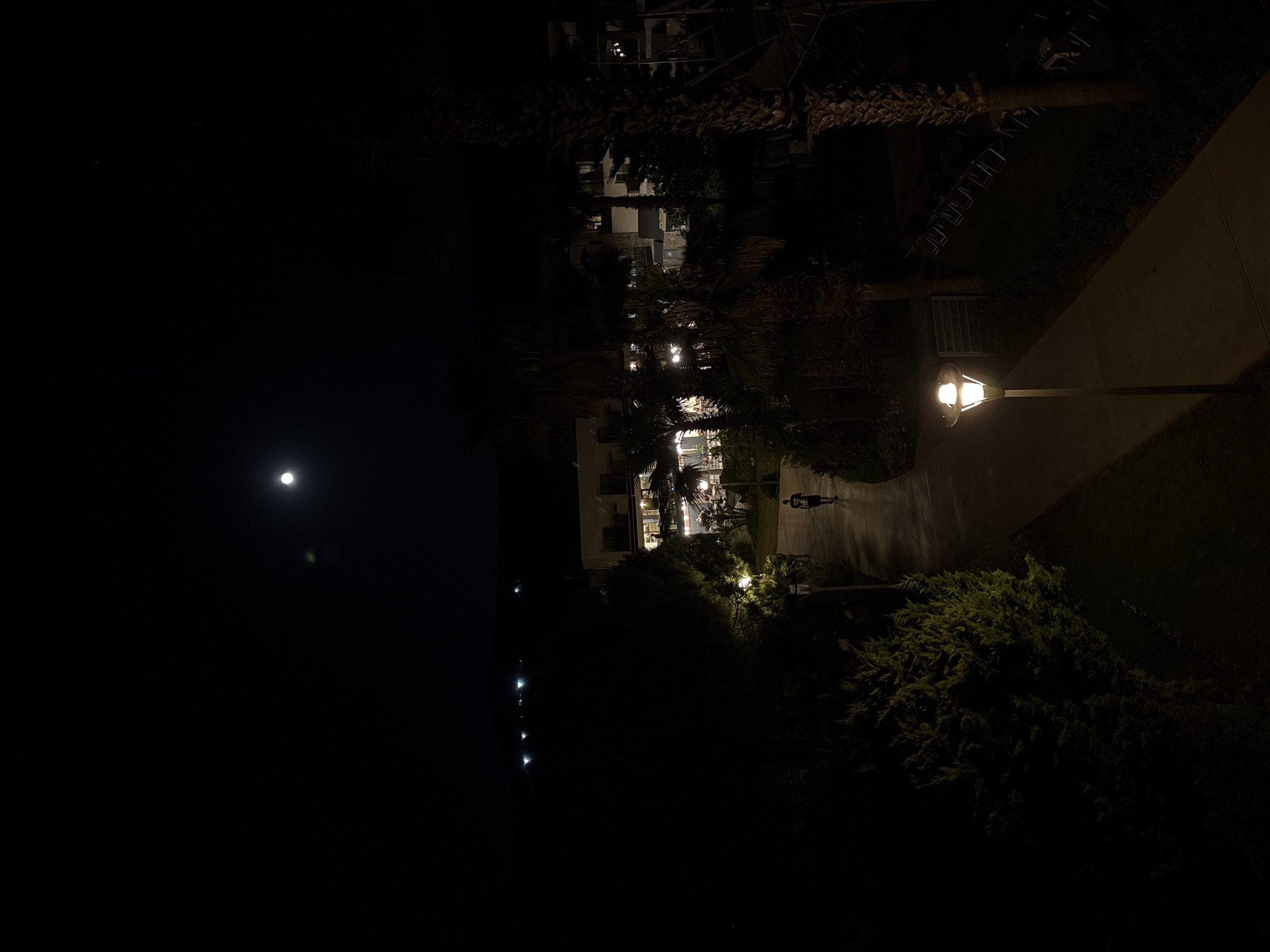 The image depicts a serene nighttime scene, likely in a resort or coastal area of Selçuk, Turkey. The dark sky on the left is illuminated by a prominent, bright full moon. Below the moon, an indistinct dark expanse suggests a coastline or landmass meeting a body of water, where a series of small, bright lights twinkle in the distance, possibly from boats or distant structures.
On the right side of the frame, a multi-story building, characteristic of a hotel or apartment complex, stands with many of its windows and interiors brightly lit, indicating evening activity. Numerous palm trees and other dense foliage, dark green and shadowy, surround the building.
In the foreground, a paved pathway winds gently, brightly lit by a single lamppost on the right. The lamppost casts a warm, yellow glow, highlighting the path. A solitary figure, a person wearing a dark shirt with a light design or text on the back, walks away from the viewer along this path, heading towards the illuminated building. Visible near the building's base are what appear to be lounge chairs, further suggesting a leisure or resort setting. The scene conveys a peaceful, quiet evening under a clear night sky.