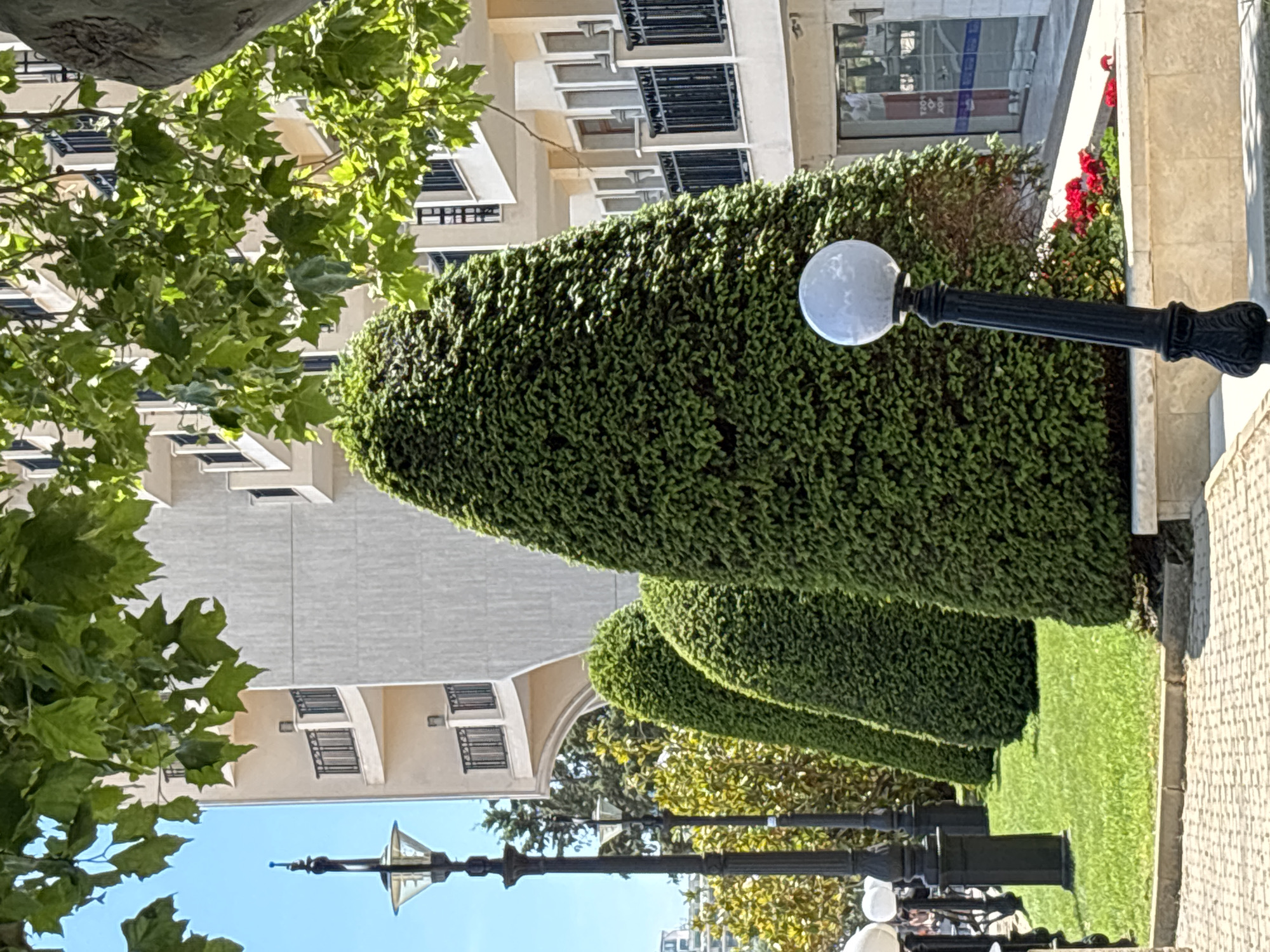 The image depicts a street scene in Varna, Bulgaria. The foreground is dominated by manicured green hedges, sculpted into rounded, conical shapes. A traditional black lamppost with a spherical glass light fixture stands prominently in front of the largest hedge. To the left, lush green leaves of a tree overhang, partially obscuring a light-colored building with multiple windows and balconies. The building appears to be multi-story and modern in architectural style.
Beyond the hedges, a patch of vibrant green grass is visible, leading to more trees with yellow-green foliage. Another lamppost, similar in style to the first but with a different lantern design, is visible further down the street. The sky is a clear, bright blue, suggesting daytime with sunny weather. The paving stones on the right side of the image indicate a walkway or sidewalk. A hint of red flowers can be seen behind the hedge, adding a touch of color to the scene. The perspective is slightly angled, giving a sense of depth and leading the eye along the line of hedges. There is no discernible activity of people or events taking place; the scene appears to be a quiet, well-maintained urban landscape.