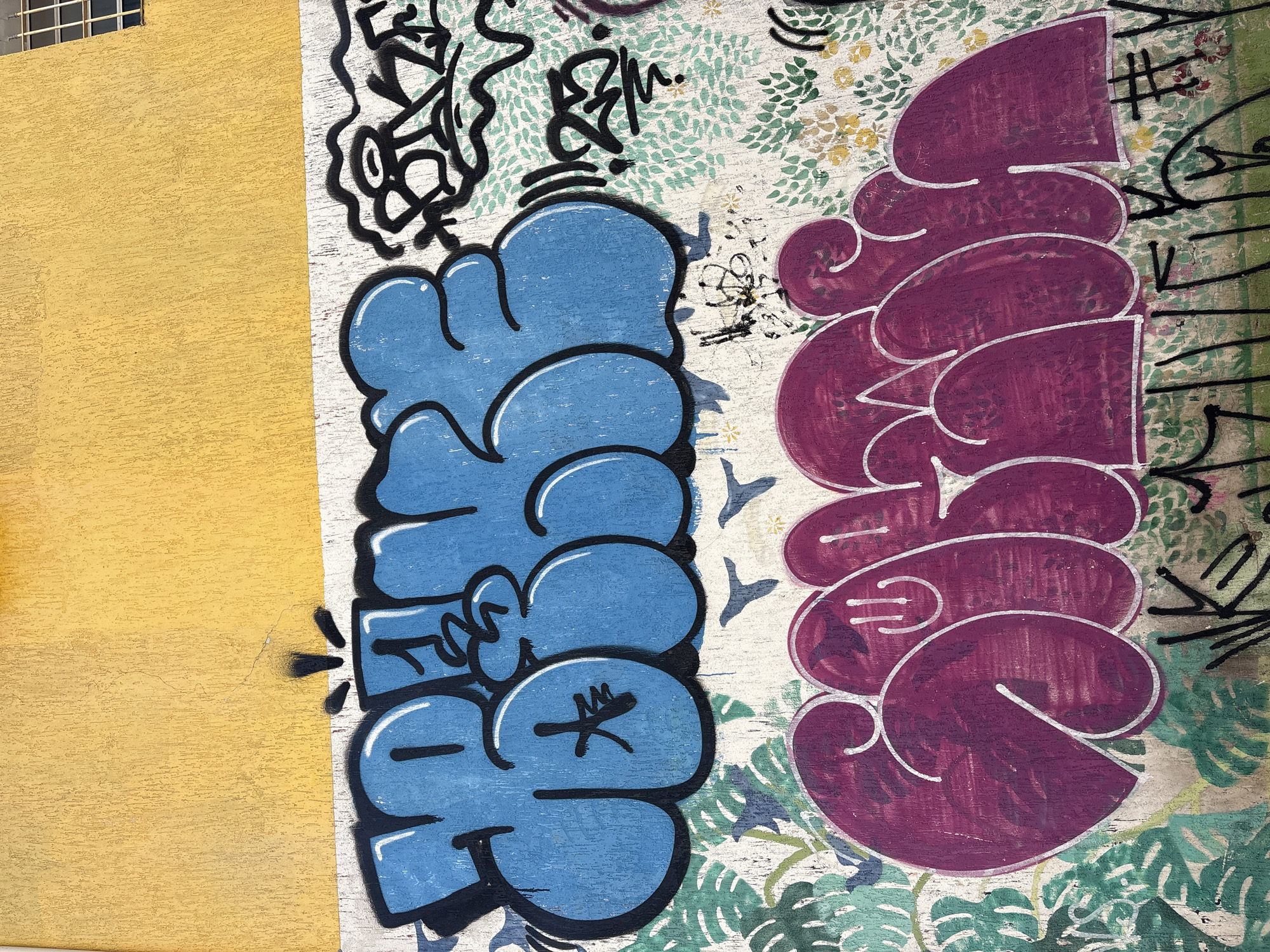 The image shows a section of an exterior wall with vibrant graffiti art. The wall is divided vertically. The left side is a textured, bright yellow surface, possibly stucco or painted concrete. The right side of the wall is covered in a more elaborate mural. This mural features a stylized floral or leaf pattern in shades of green and yellow, creating a somewhat tropical or botanical backdrop.
Dominating the foreground on the right are two large graffiti tags, rendered in a bubble-letter style. The tag on the left is a bold blue with thick black outlines and white highlights. It appears to be a single word or name. To its right, a second tag is painted in a deep, rich magenta or dark purple, also with thick black outlines and white accents. This tag is also a word or name, rendered in a similar inflated, rounded style. Above and between these two main tags, and to their right, are smaller, more abstract black graffiti elements, including drips, lines, and what appear to be signatures or tags in a more angular script.
In the background, behind the graffiti, the floral pattern is visible. There are also some subtle shadow elements cast on the mural, suggesting an outdoor setting with natural light, likely during the day. The overall impression is one of urban art in a city environment. The graffiti is applied directly to the wall, which is likely part of a building facade in São Paulo, Brazil, given the location context. There is no discernible text that is clearly legible as common language words, but rather stylized artistic lettering and tags.