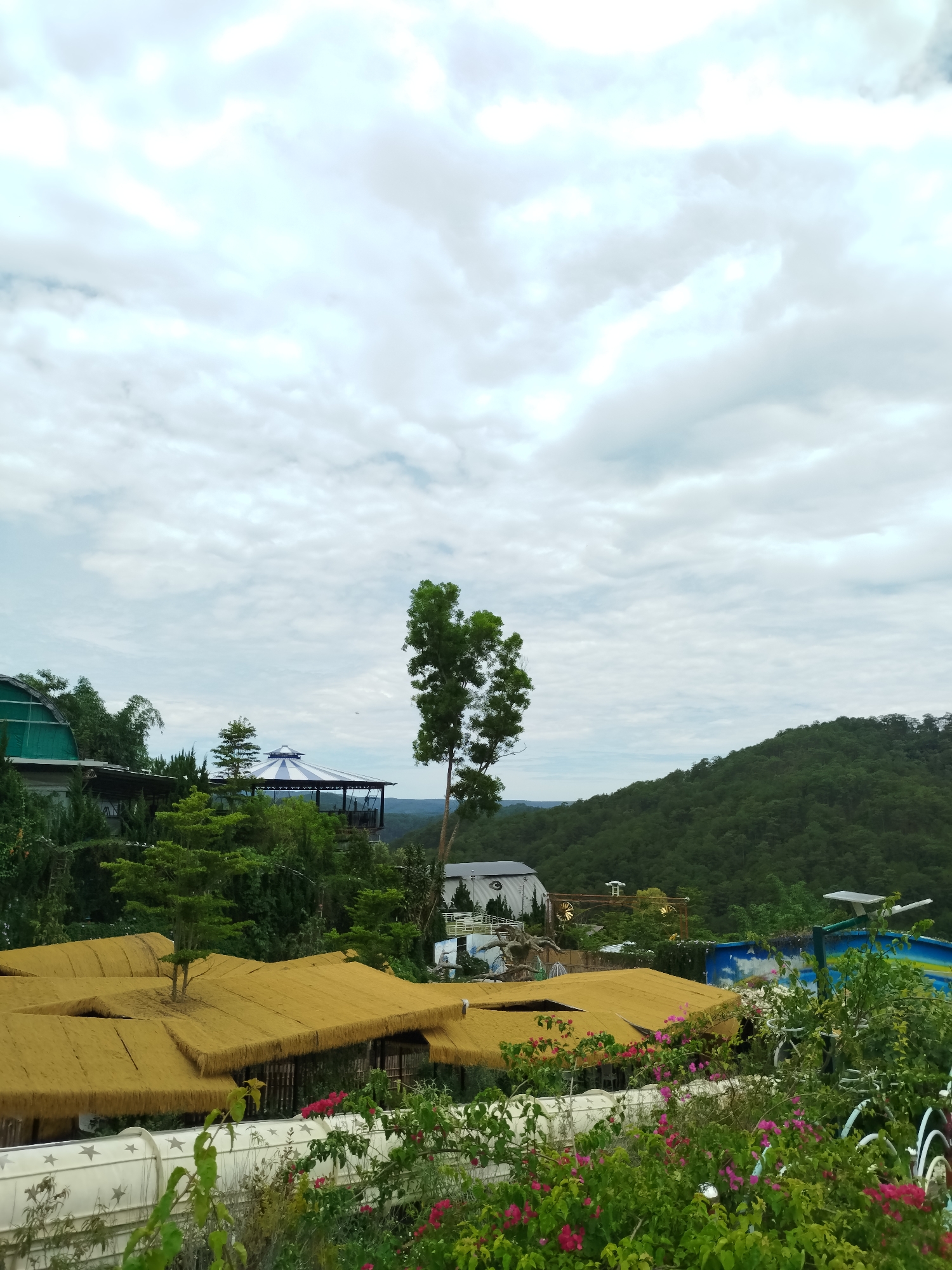 The image captures a view in Da Lat, Vietnam. The foreground features a vibrant display of red and pink bougainvillea bushes, partially obscuring a white, low fence with star designs. Above the bushes are several thatched roofs, covering structures below. Further back, a diverse array of trees and vegetation surrounds a building with a white facade. A tall, slender tree stands out amidst the greenery. In the distance, a densely forested hill or mountain rises against a cloudy sky. Several gazebos and other structures can also be seen among the trees and vegetation.
