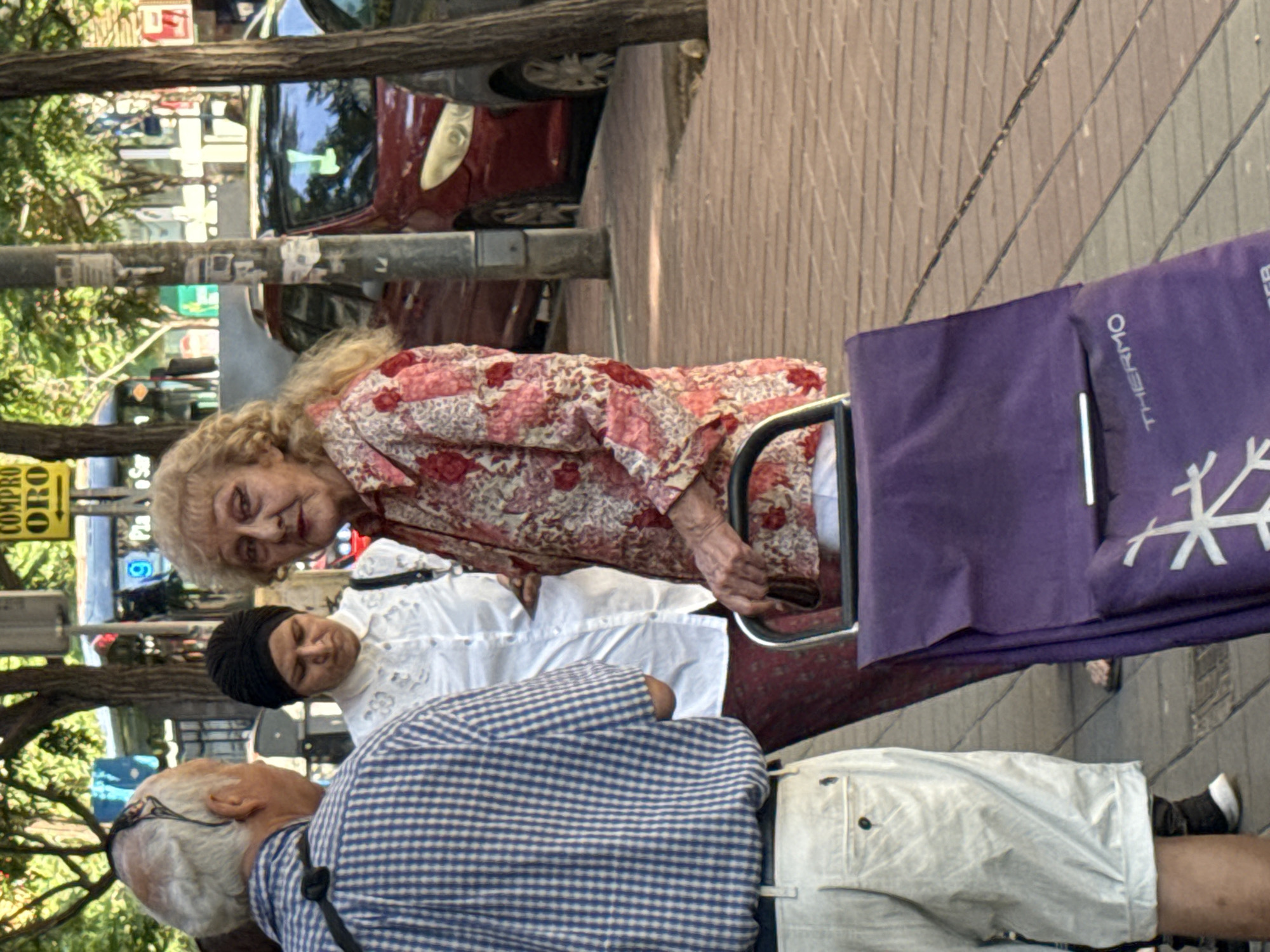 The image depicts three individuals on a city street. An elderly woman with blonde hair is wearing a pink and white patterned shirt and holding onto a purple shopping trolley. Beside her, a woman wearing a white shirt and a black headscarf stands. In the foreground, an elderly man in a blue and white checkered shirt and khaki shorts is partially visible. The environment includes a sidewalk, a street with cars, trees, and street signs in the background. A sign reading "Compro Oro" is also visible. The location appears to be Unknown, Unknown.