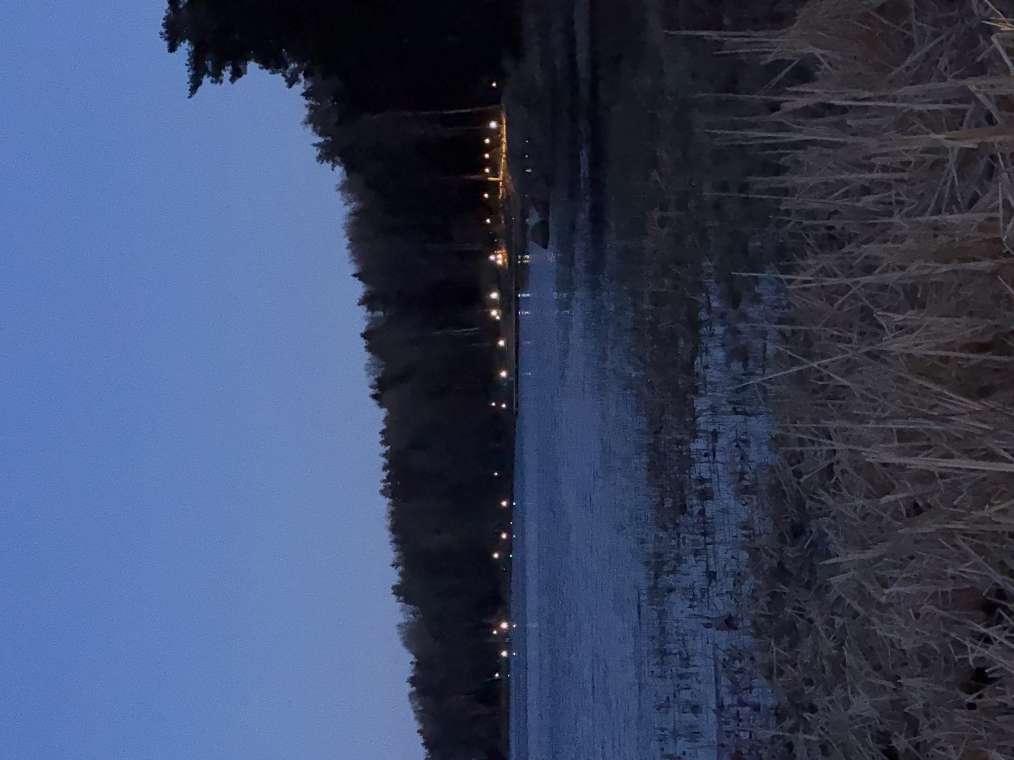 The image shows a body of water (possibly a lake or wide river) at dusk, with a line of trees along the left edge illuminated by lights. The sky is a dark blue. Dry reeds or grass line the right edge of the water. The location, Aleksandrovka, Russia, suggests this is an outdoor scene. There are no people visible in the image. The main objects are the body of water, trees, lights, and vegetation. No specific actions or interactions can be determined from the image. The environment appears to be a park or natural area near a body of water.
