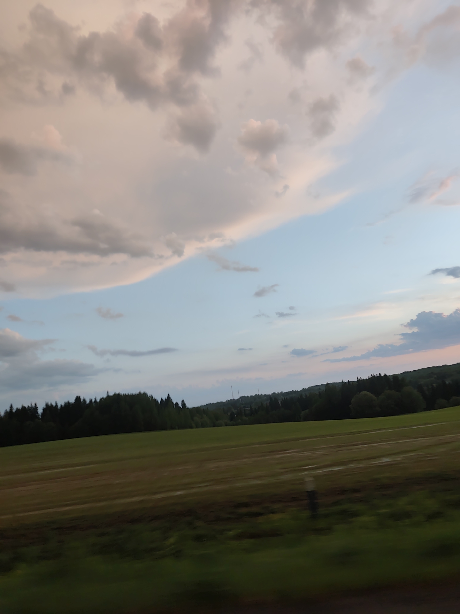 The image shows a rural landscape under a sky with scattered clouds. The clouds are tinged with pink hues, suggesting either sunrise or sunset. Below the sky, there is a dark line of trees that appear to be a forest or a dense grove. In front of the trees is a field, and its surface has a mix of brown and green. The bottom of the frame is out of focus and shows green vegetation. The image seems to be taken from a moving vehicle, based on the motion blur and the angle of the shot. Based on the prompt, this area is most likely near Glazunovo, Russia.