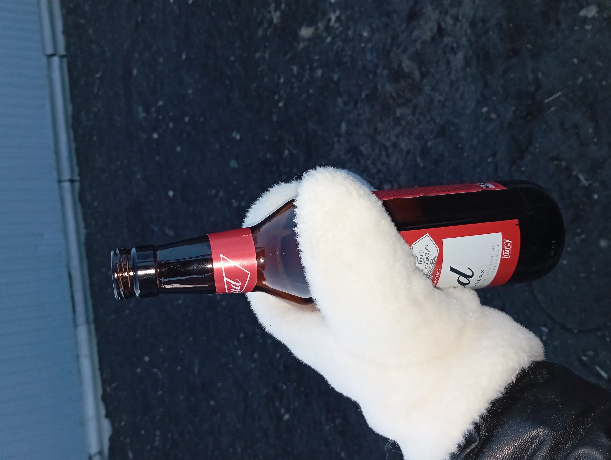 A gloved hand holds a bottle of Budweiser beer outdoors in Yurgamysh, Russia. The glove is white with a dark cuff, and the beer bottle is dark brown with a red label. The background consists of dark asphalt and a light gray siding.