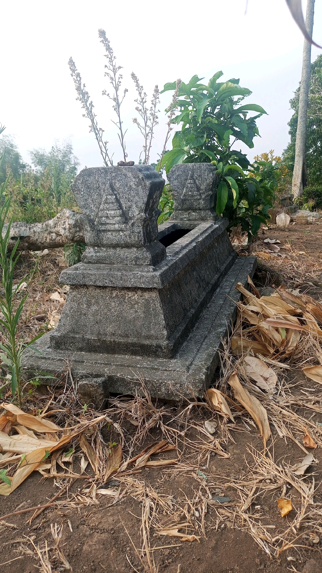 The image shows a weathered stone sarcophagus, likely a tomb, situated outdoors on dry, brown earth. The sarcophagus is rectangular with decorative carvings on its upper sections. It appears old and somewhat neglected, surrounded by dry grass, fallen leaves, and a few spindly plants. In the background, there are more plants and trees, and a glimpse of what might be other gravestones in the distance, suggesting a cemetery or historical site. The sky is overcast. The scene is likely located in a rural or semi-rural area of Mangliawan, Indonesia, given the vegetation and the style of the tomb.