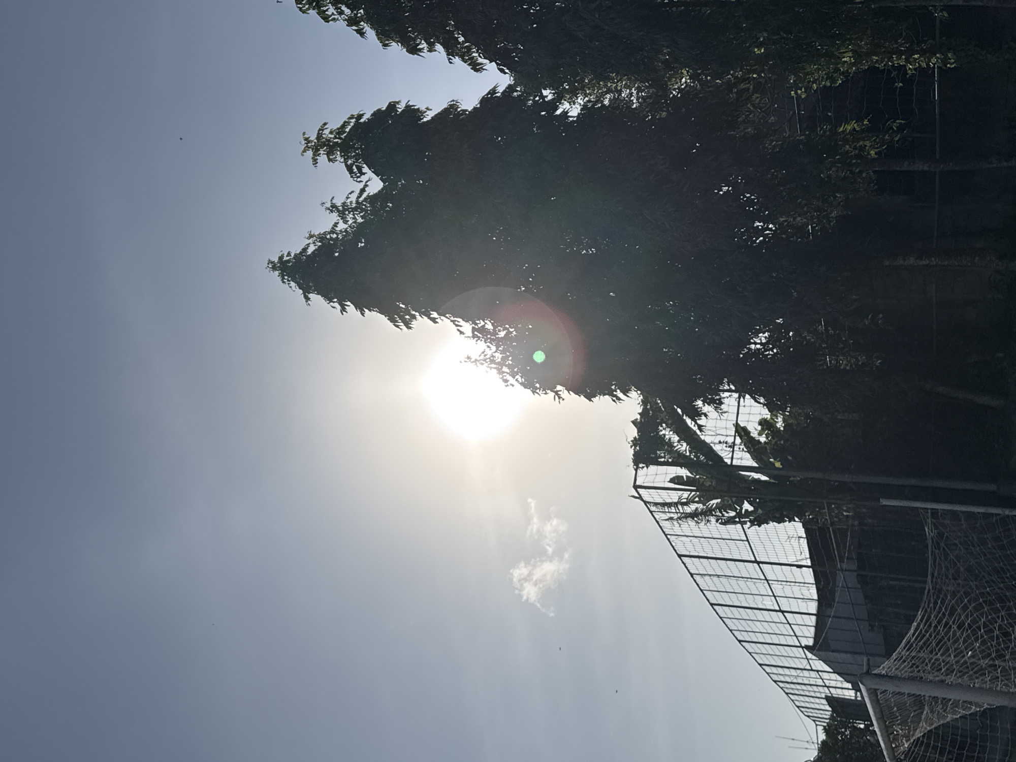 In North Kuta, Indonesia, a soccer goal net is partially visible in the foreground. Behind it, a tall chain-link fence runs diagonally across the frame, enclosing a structure that appears to be a seating area or building. Several tall, dense trees with pointed tops stand to the right of the fence, silhouetted against a bright, hazy sun in the pale blue sky. A small, wispy cloud drifts to the left of the sun. The overall scene suggests an outdoor sports or recreational area bathed in the light of a partly obscured sun.