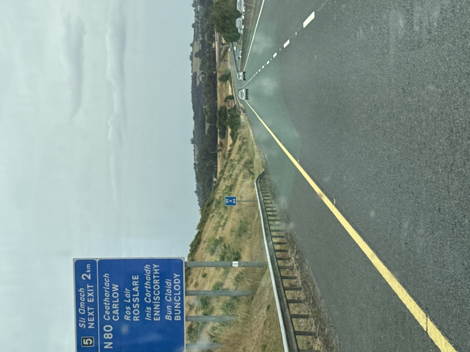 The image shows a highway in County Wicklow, Ireland, with a blue highway sign indicating exit 5 for the N80 towards Ceatharlach, Carlow, Ros Láir, Rosslare, Inis Córthaidh, Enniscorthy, and Bun Clóidi, Bunclody. The sign also indicates "Sli Amach NEXT EXIT 2km." The highway has a yellow line marking the left lane and white dashed lines separating lanes. Several cars are visible on the highway, and the surrounding landscape consists of dry grass, bushes, and trees under a cloudy sky. A metal guardrail is present on the left side of the road.
