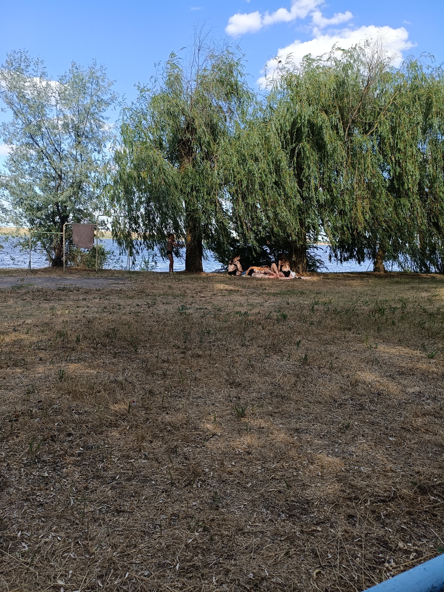 The image depicts a natural scene under a bright blue sky with scattered white clouds, suggesting it was taken on a sunny day. In the foreground, dry, light brown grass covers the ground, with some sparse green shoots visible. Beyond the grassy area, a body of water, likely a river or lake, is present, reflecting the sky. Along the waterline, several trees with dense green foliage provide shade.
Among the trees, a group of individuals are visible. On the right side of the frame, under the shade of a large tree, four people are lying down on the grass, appearing to be relaxing or sunbathing. To the left of them, another person is standing near a tree. Further to the left, there's a metal rack with a dark towel hanging on it, positioned near the water's edge. The overall environment suggests a park or a recreational area by the water. The image is devoid of any structures or landmarks that would specifically place it within Nezavertaylovka, Moldova.