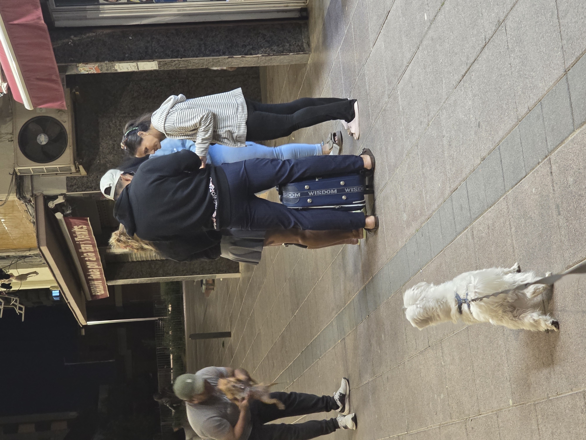 The image, oriented sideways, depicts an evening or night scene on a paved sidewalk in Cornellà De Llobregat, Spain.
In the center of the frame, a group of three individuals stands vertically along the sidewalk. The person closest to the bottom edge wears a white baseball cap and a black hoodie, with some illegible white text visible on the garment. Ahead of them is another individual in light blue pants and a top. Between their legs, a blue rolling suitcase with "WISDOM" prominently printed in white letters on its side rests on the ground. Further up from this pair, a woman with dark hair tied back wears a striped hoodie and black pants. This central group appears to be conversing or looking downwards.
At the far bottom-left, a man wearing a green cap and a grey t-shirt is seen holding a small, light-brown dog. On the opposite side, towards the middle-right, a fluffy white dog on a leash is captured, appearing to be walking or standing still.
On the building wall at the top-left, an outdoor air conditioning unit with a visible circular fan is mounted, beneath a partially retracted red awning. Above the air conditioning unit, a banner or sign is attached to the building, displaying the partially visible text "BBQ Bar aba del Tennis". The ambient lighting suggests the time of day is evening or night.