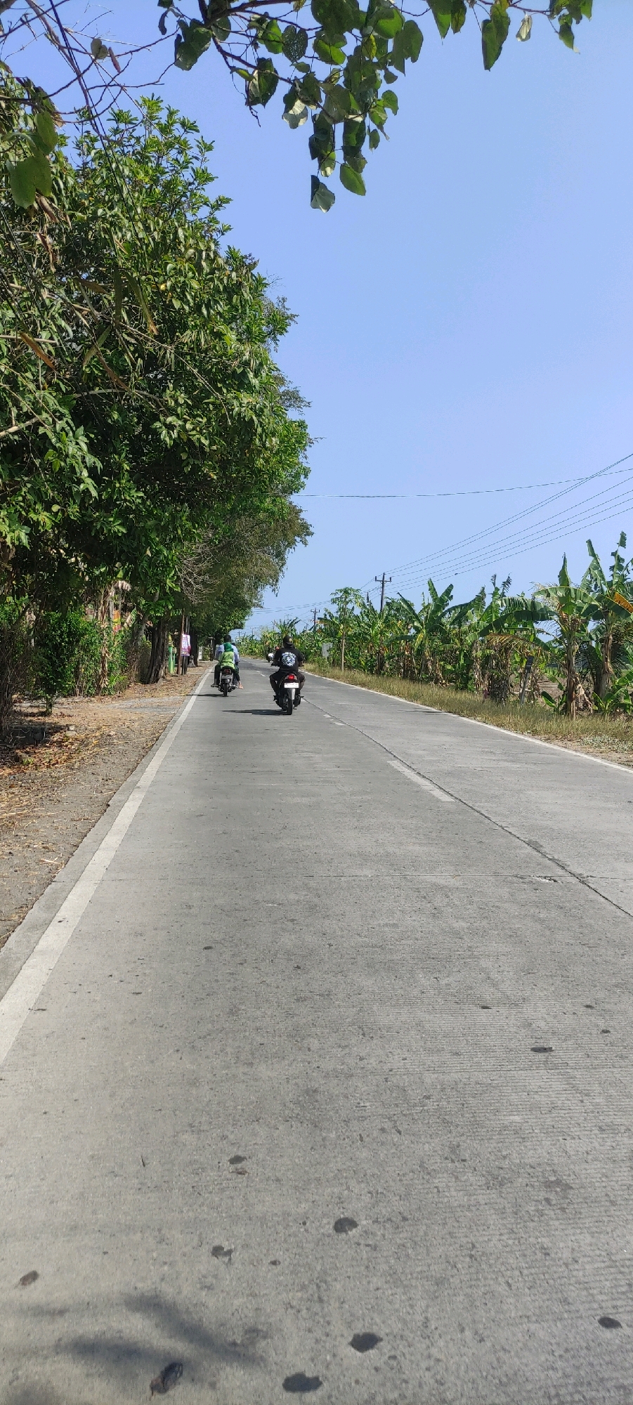 The image depicts a rural road in Purwodadi, Indonesia, on a bright, clear day. The road is paved and appears to be two lanes wide, with a white line marking the center and a white shoulder line on the left. Lush green trees line the left side of the road, casting shadows on the pavement. On the right side of the road, there are rows of banana trees and utility poles with electrical wires.
Several individuals are present, all riding motorcycles. In the foreground, a motorcycle rider wearing a black t-shirt and jeans is moving away from the camera. Further up the road, another motorcycle rider, also wearing dark clothing, is in front. Two other motorcycles are visible in the distance, one with a passenger wearing a green shirt. The atmosphere suggests a typical day of travel on this local Indonesian road.