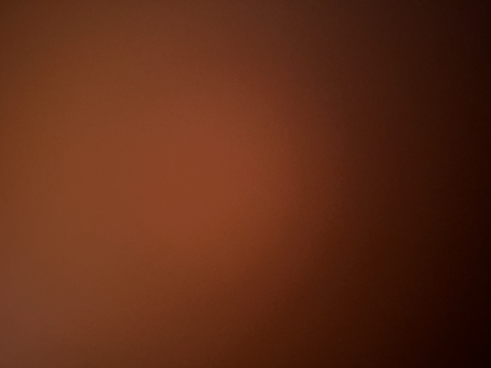 The image is a blurry, close-up shot of a reddish-brown, textured surface. The lighting is dim, with a gradient of color that is darker at the bottom and lighter towards the top. There are no discernible objects, people, or actions present in the image. It is impossible to determine the location in the city of Belgrade, Serbia, or any other contextual information from this abstract, out-of-focus photograph.