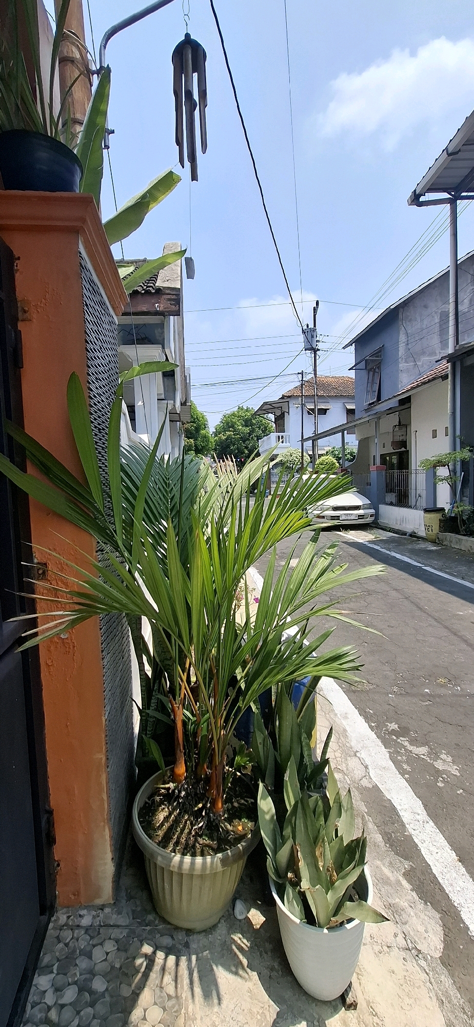 In Desa Gagaksipat, Indonesia, on a sunny day, an outdoor scene unfolds along a paved street. In the foreground, a small palm plant in a beige pot stands next to a white pot containing a Sansevieria plant. To the left, an orange-colored wall with a textured facade is visible, adjacent to a black door. The ground is a mix of small, grey pebbles and concrete.
Behind the plants, a white sedan is parked on the street. The street is bordered by houses on either side. The houses have a mixture of architectural styles, with some featuring blue and white exteriors, tiled roofs, and open windows. Overhead, power lines crisscross the sky, and a bamboo wind chime hangs from a metal pole attached to the orange wall. The environment is predominantly residential, with clear blue skies and scattered clouds.