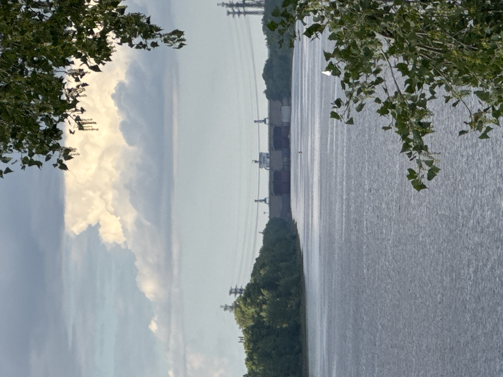 The image captures a wide shot of the Votkinskoye Reservoir in Chaikovsky, Russia, on a cloudy day. In the foreground, the choppy, grey water of the reservoir occupies the lower half of the frame. On the right side, branches of a green leafy tree with hanging seed pods partially obscure the view. In the middle ground, a large, imposing dam structure spans the reservoir, with buildings and cranes visible on top. The dam is flanked by lush green, tree-covered hills. Power lines stretch across the scene, supported by tall, skeletal towers. In the distance, the sky is filled with dramatic, billowy white clouds against a pale blue backdrop. A small white sailboat is visible on the water to the right of the dam.